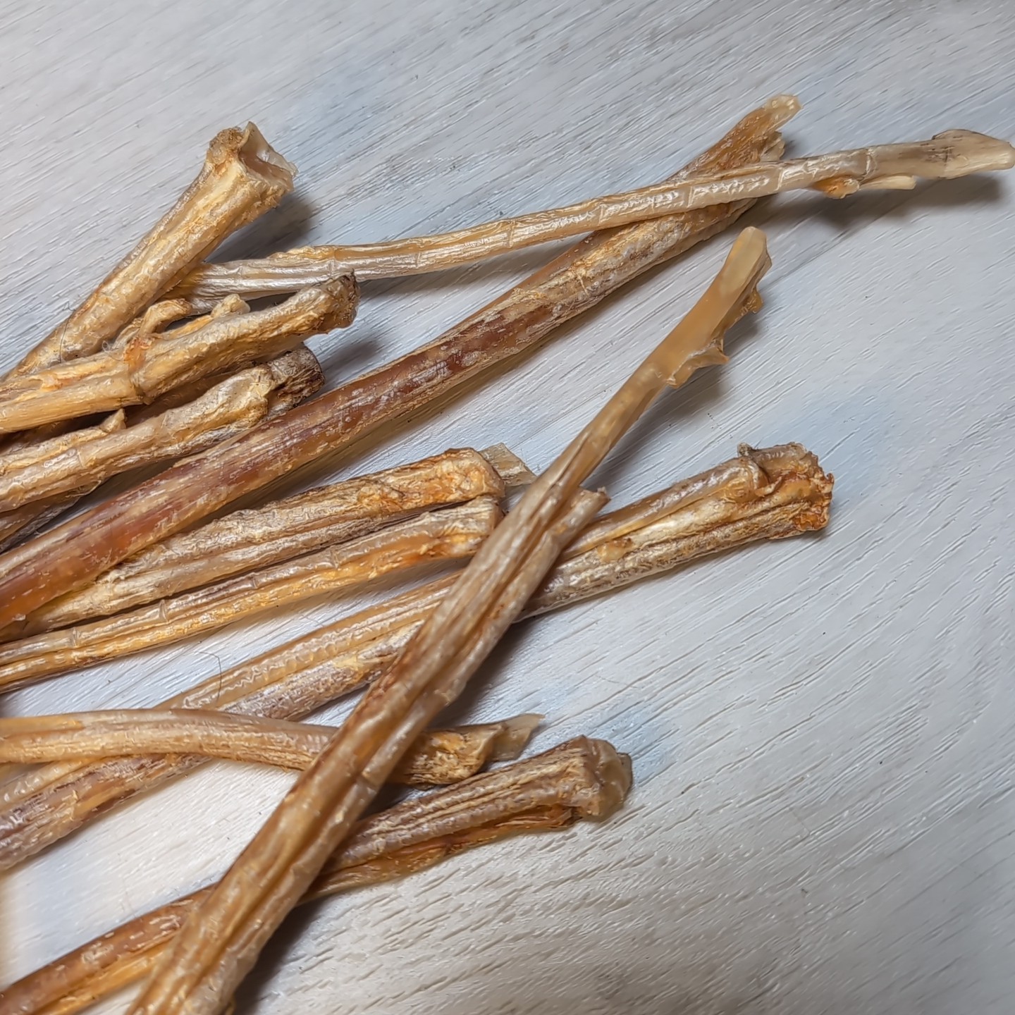 (Lot 15) Deer Leg Sinew Genuine Primitive Crafts Bow Arrow Native Authentic USA