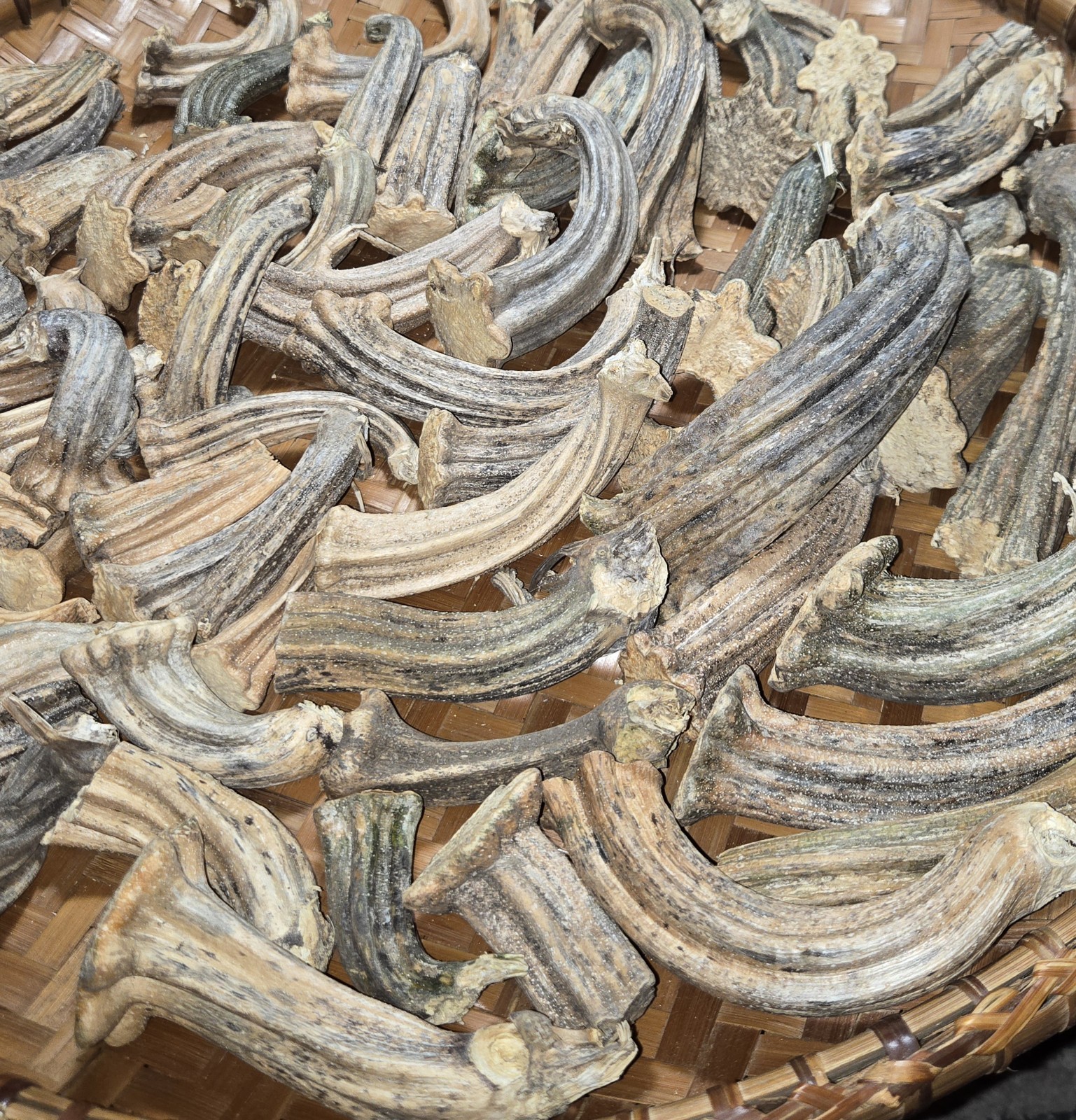60+Quality Mix Lot Natural Dried Pumpkin Stems – Arts, Crafts, Botanical,Gourds