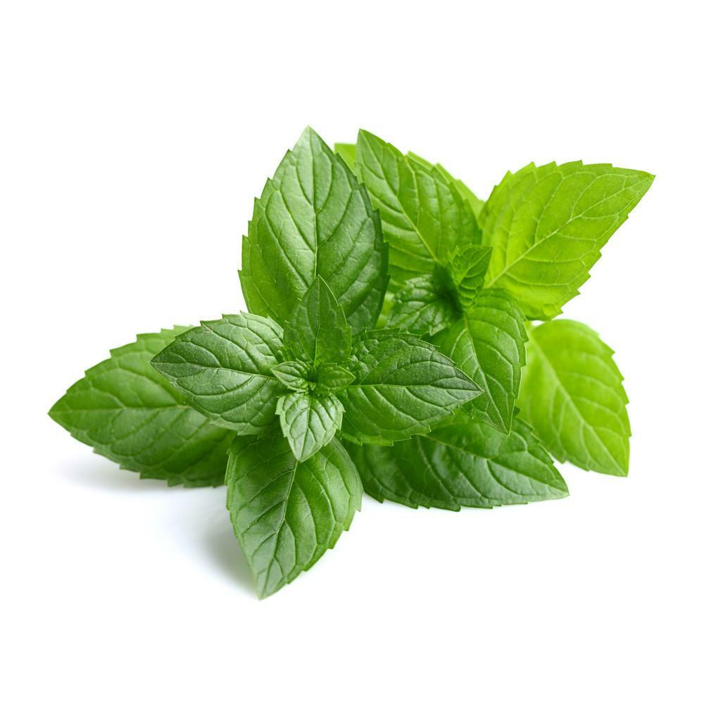 PEPPERMINT ESSENTIAL OIL AROMATHERAPY GLASS BOTTLE 0.5 OZ 1 OZ