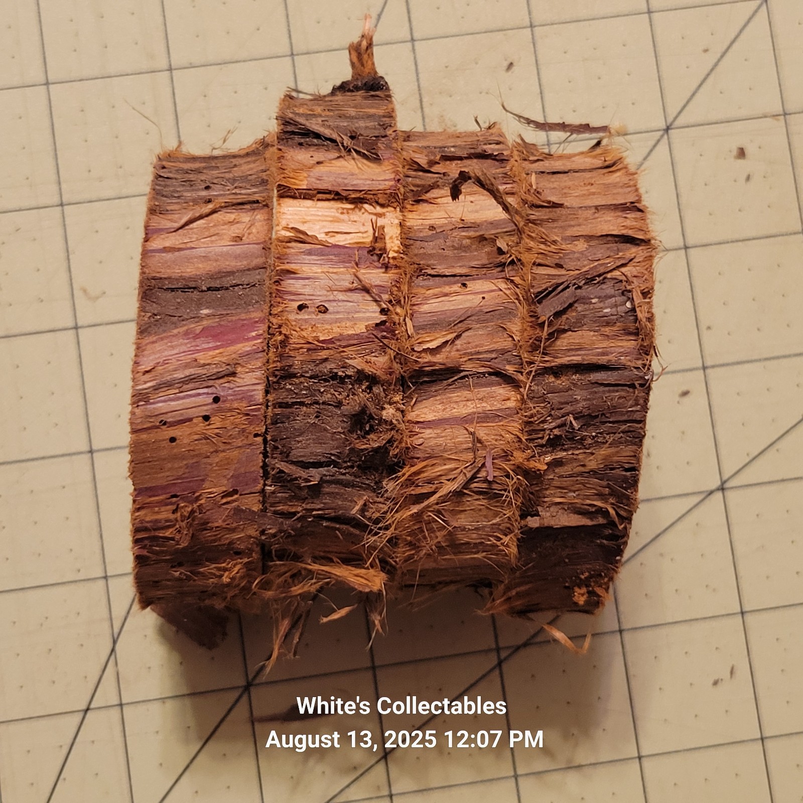 (4) 3½” – 4½” Diameter Aromatic Red Cedar ¾” Thick Live Edge Wood Rounds Natural