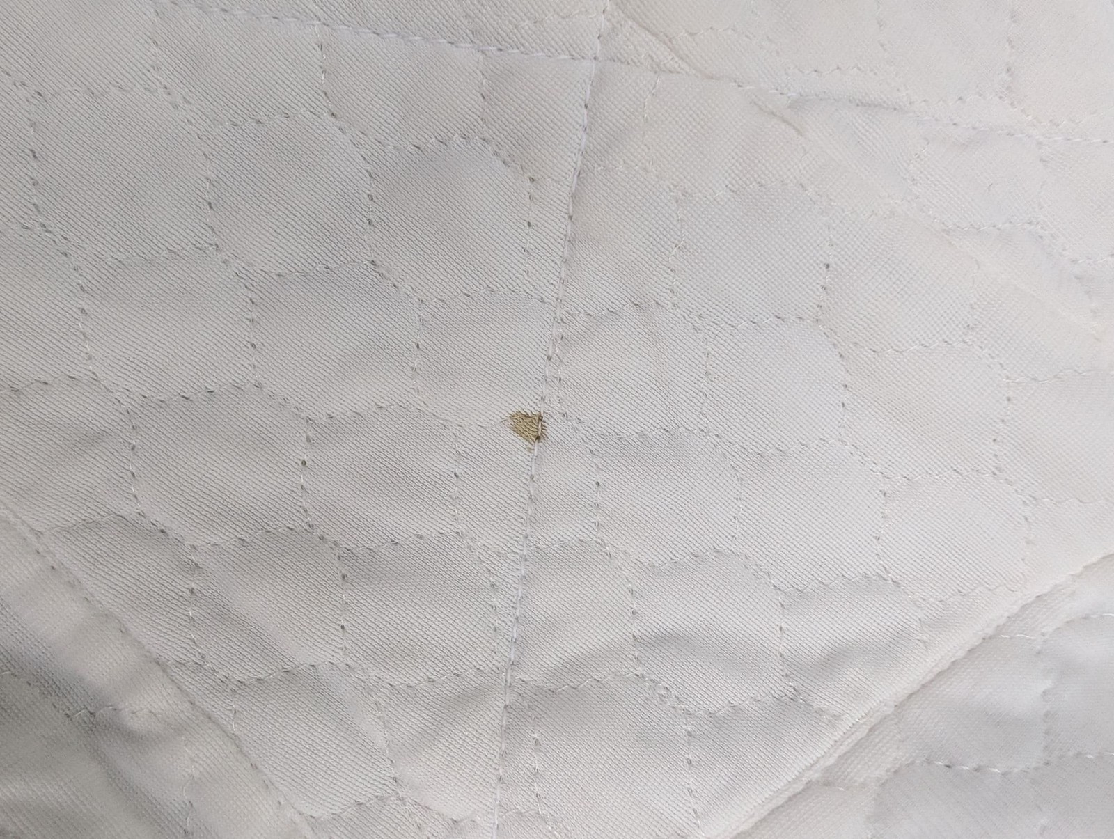 Vtg 70s Light Blue And White Checkerboard Patchwork Pattern Quilt Classic