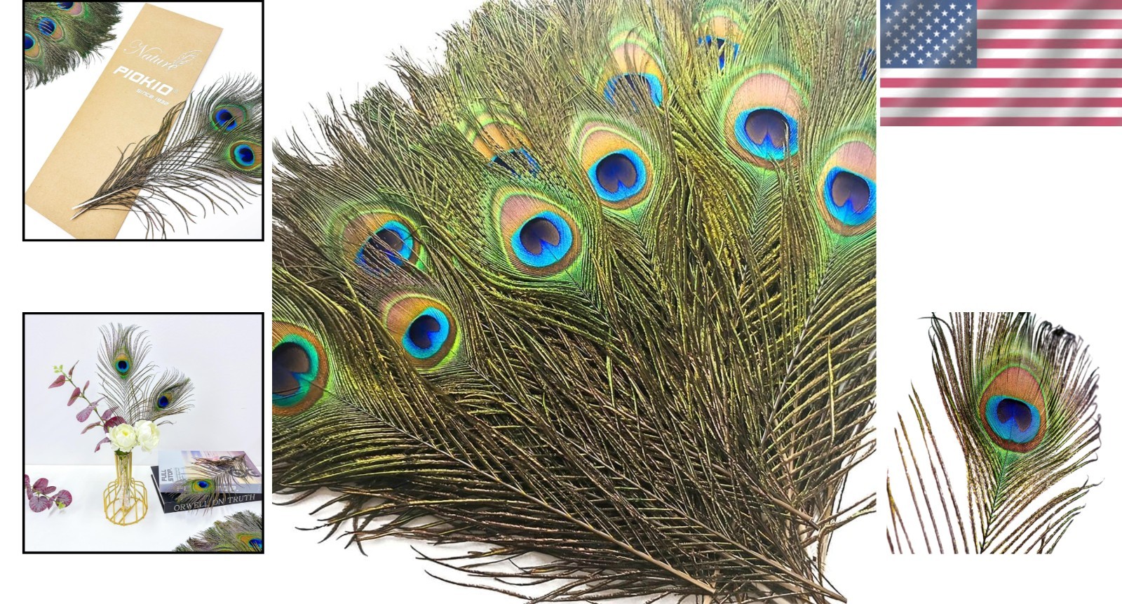 Bulk 200pc Peacock Feathers 10-12″ Cruelty-Free Natural Craft Decoration