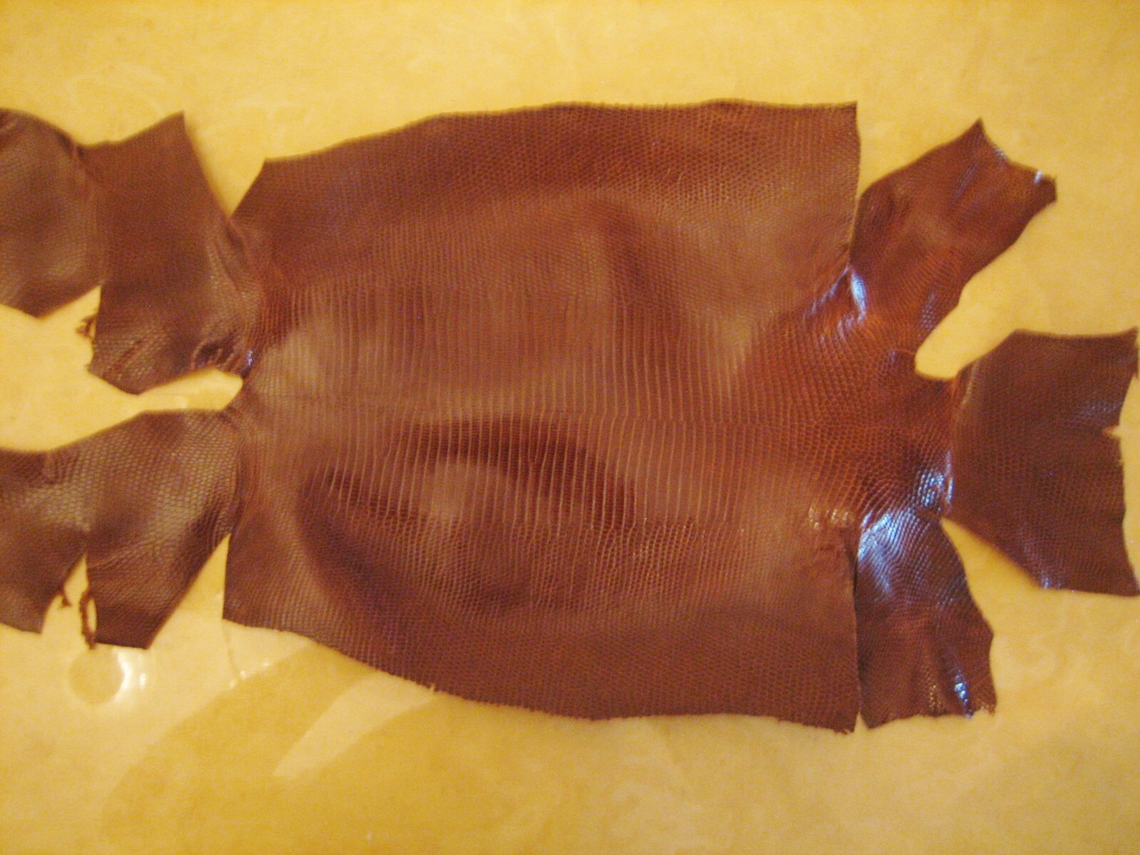 Genuine Lizard Belly Skins grade A, hide Pelt Glossy 7 colors, variety of sizes