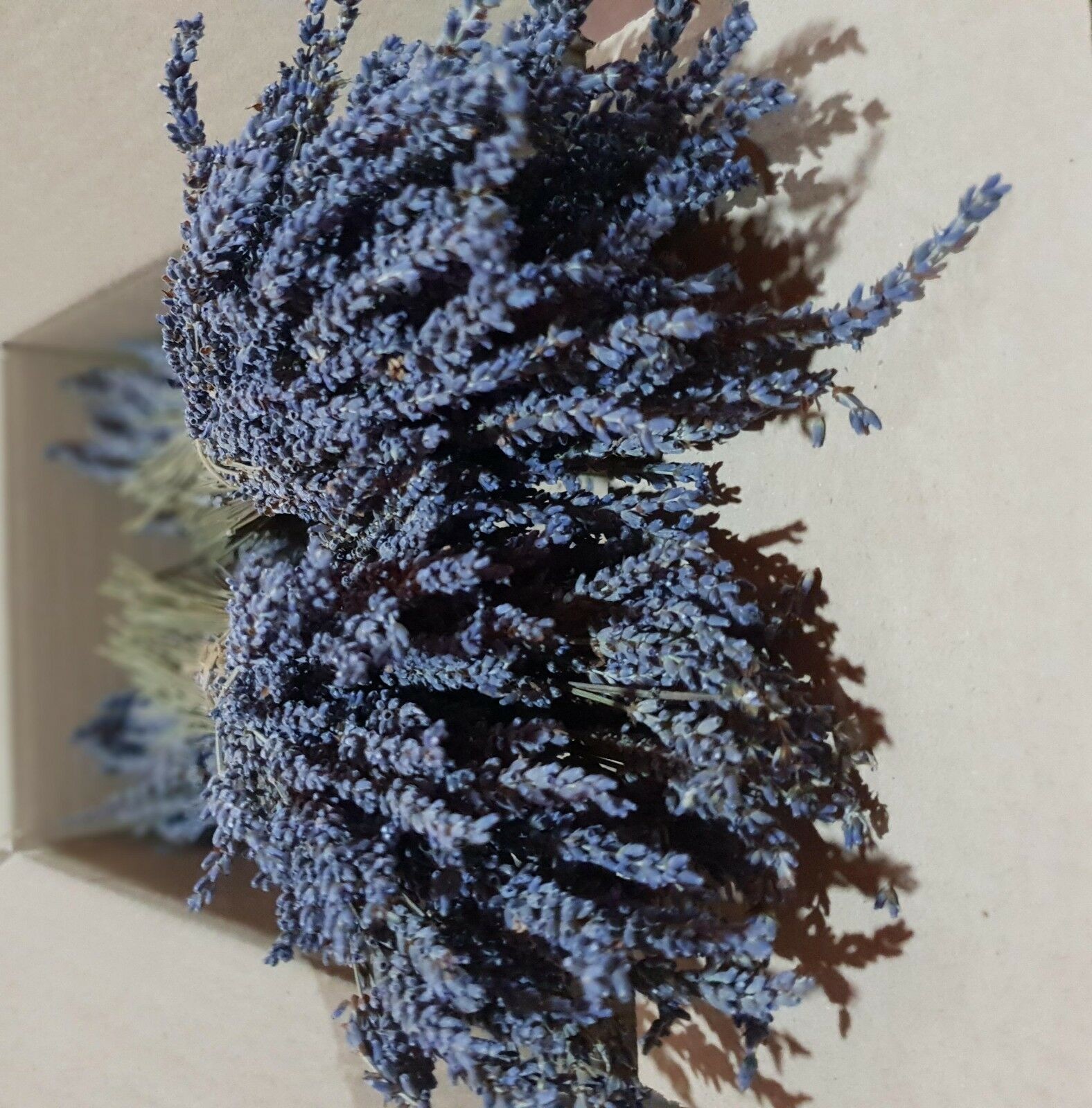 Certified Organic Greek Dried Lavender 22 Bunches 32cm | Harvest July 2024