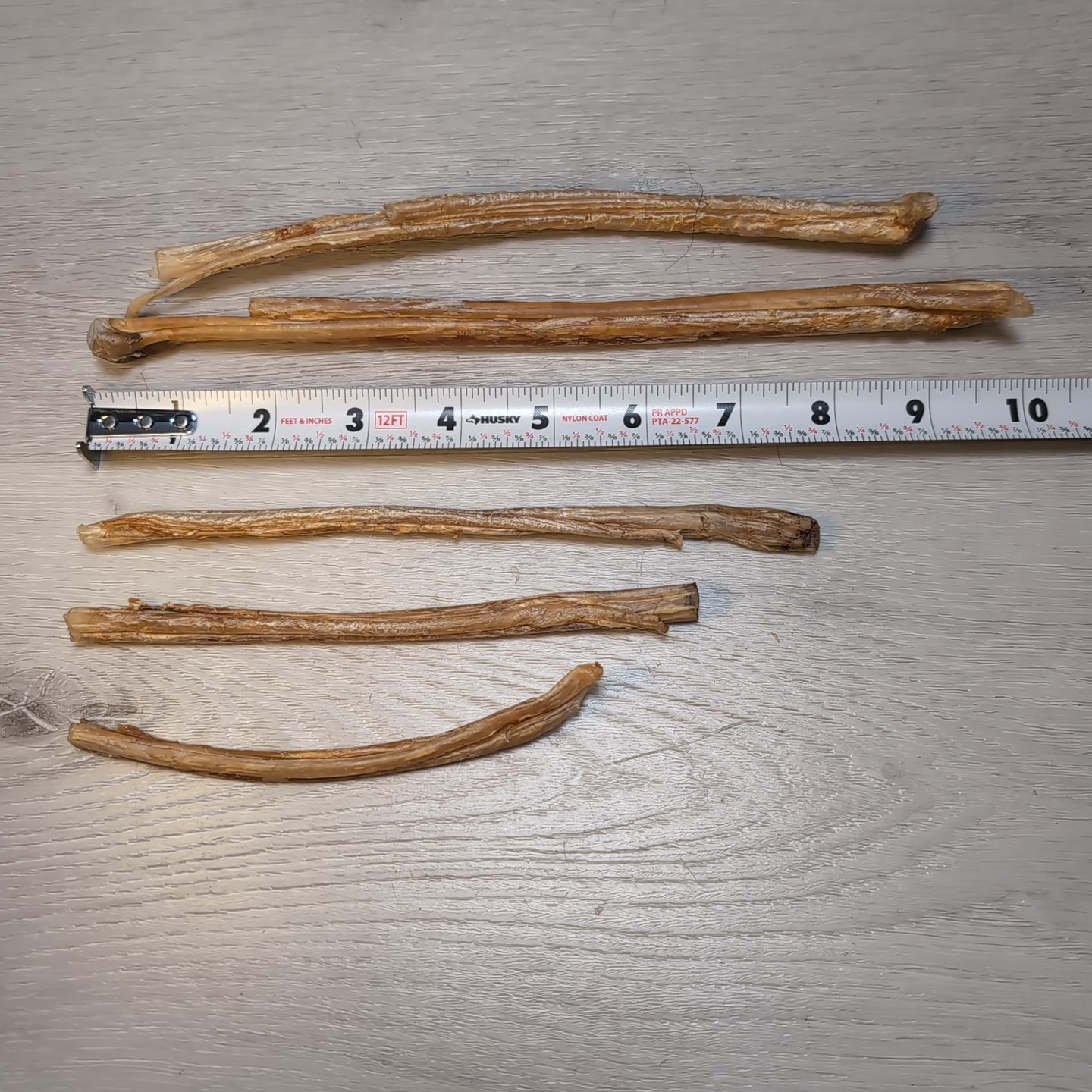 (Lot 15) Deer Leg Sinew Genuine Primitive Crafts Bow Arrow Native Authentic USA