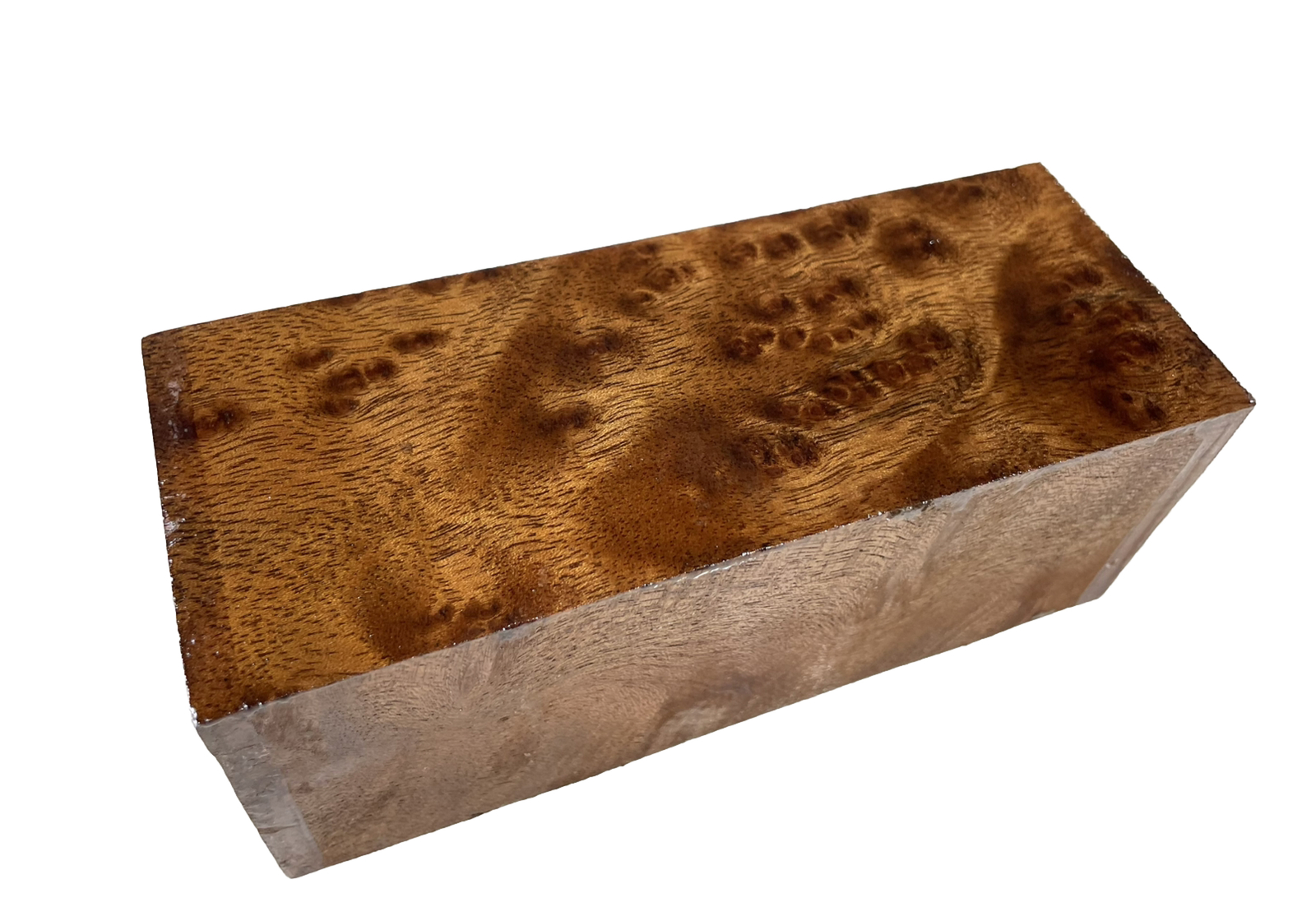 Camphor burl wood turning blank 2-7/16″ x 2-7/16″ x 6″ (J56) Dried