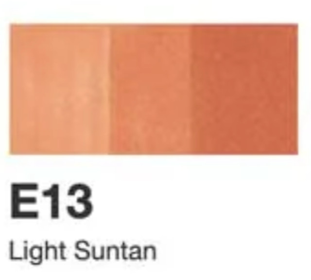 Copic Sketch Markers | Lightly Used | Tested for Quality | Color Group E (Earth)