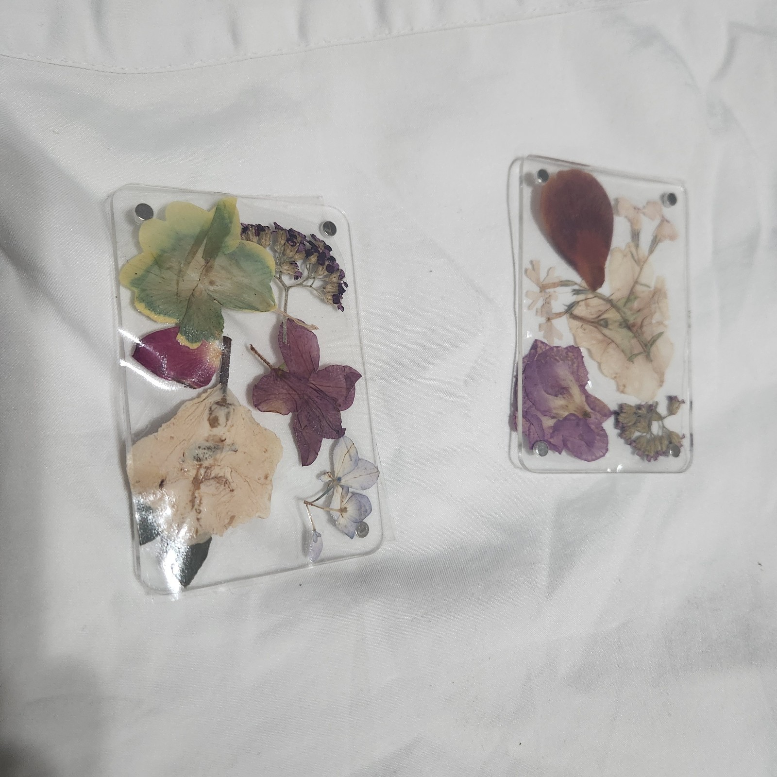 Assorted Pressed Dried Flowers Clear Resin Cards Multiple Plant Parts