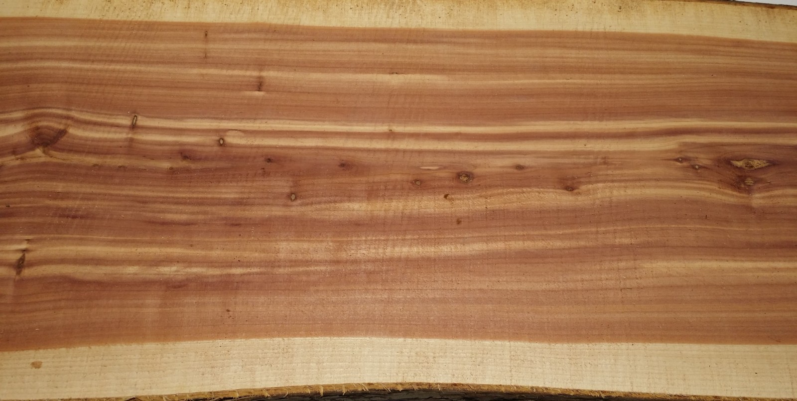 1 LARGE Aromatic Red Cedar Wall Live Edge Slab .75″T x 15-17″W x 49″L SHIPs FREE