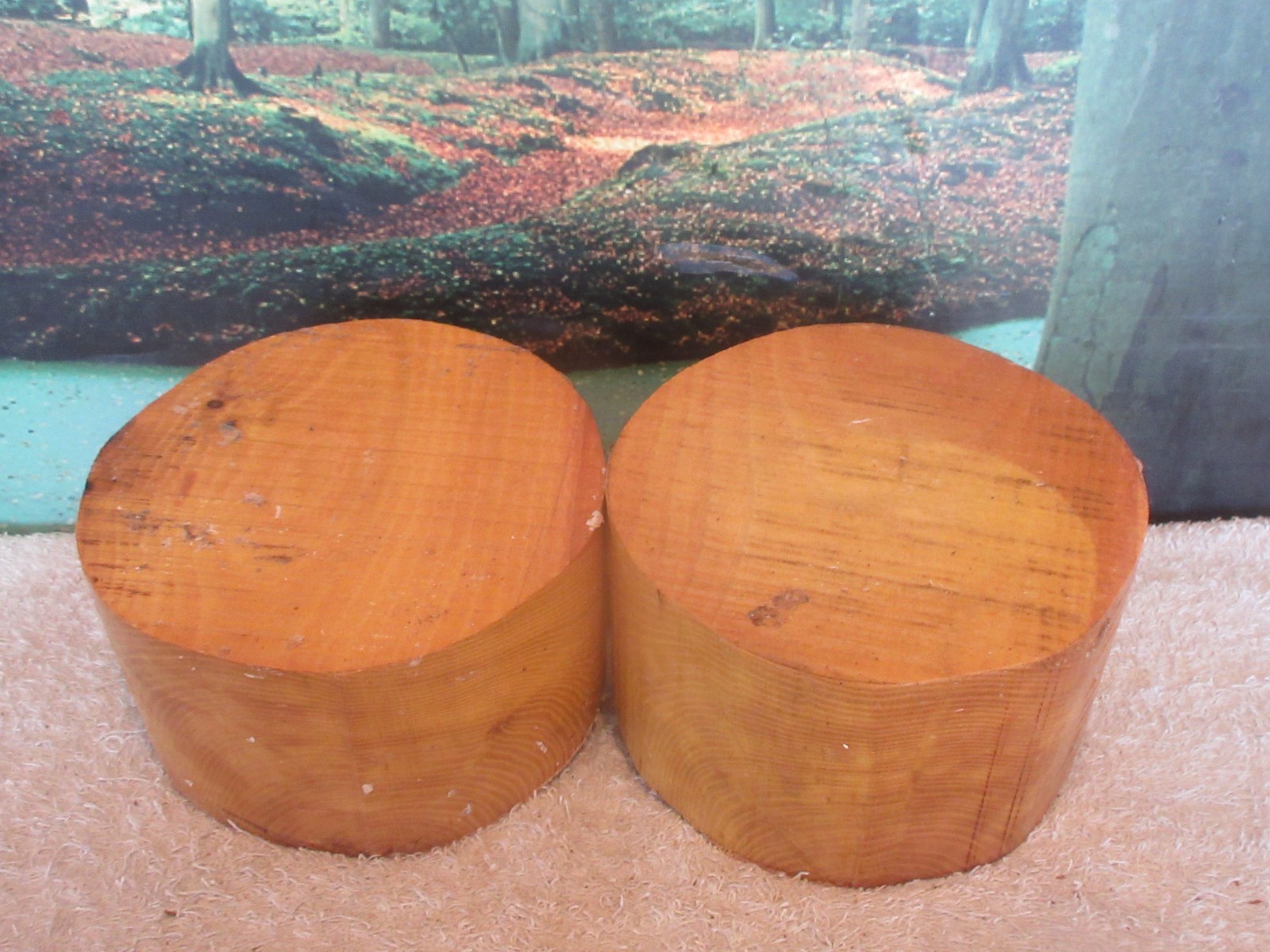 OSAGE ORANGE 6 X 3 TURNING WOOD BOWL BLANKS