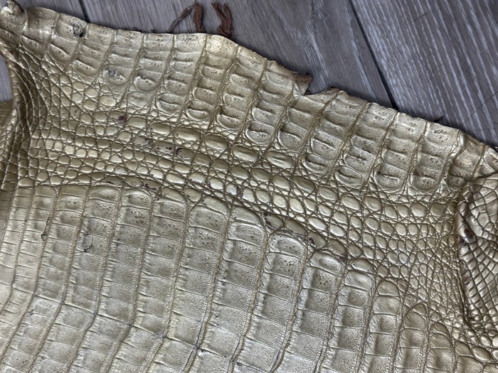Low Grade Gold Caiman Crocodile belly Hide Leather Skin real alligator Croc 495