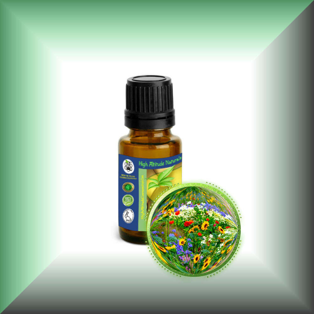 Chypre Absolute