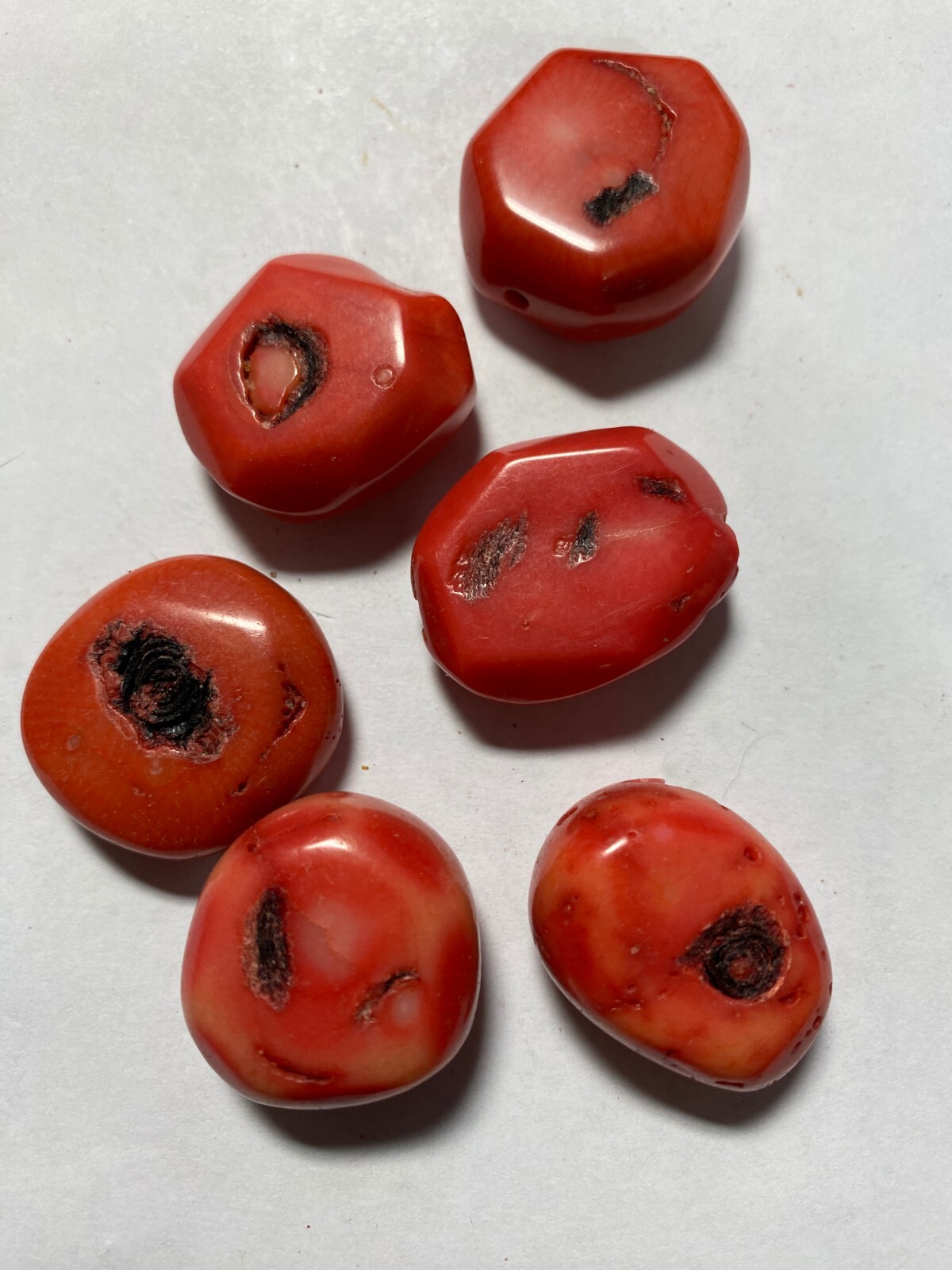Bamboo Coral Beads 4mm to 28mm