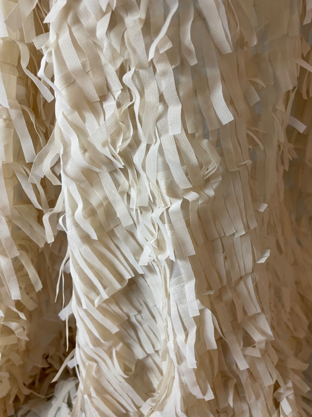 Fabric Lot 2 Yds 56 W Apparel Laser Cut Beige Vanilla Fringe Sheer Organza