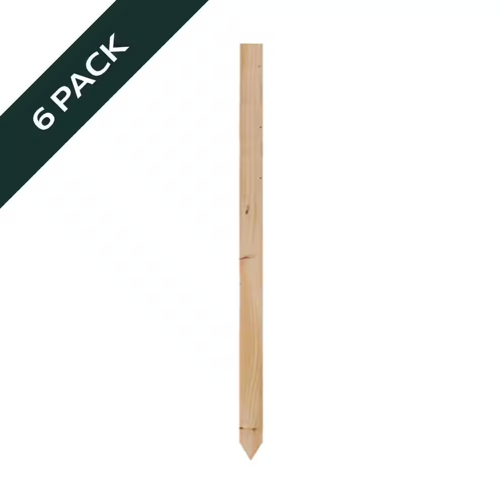24 In. Wood Grade Stake (6-Pack)