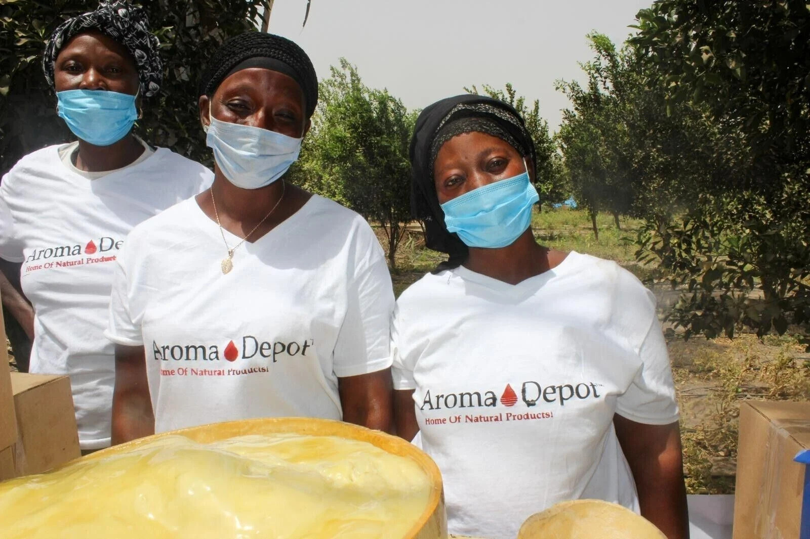 Raw African Shea Butter 12 oz. IVORY Pure Unrefined Raw Organic from Ghana