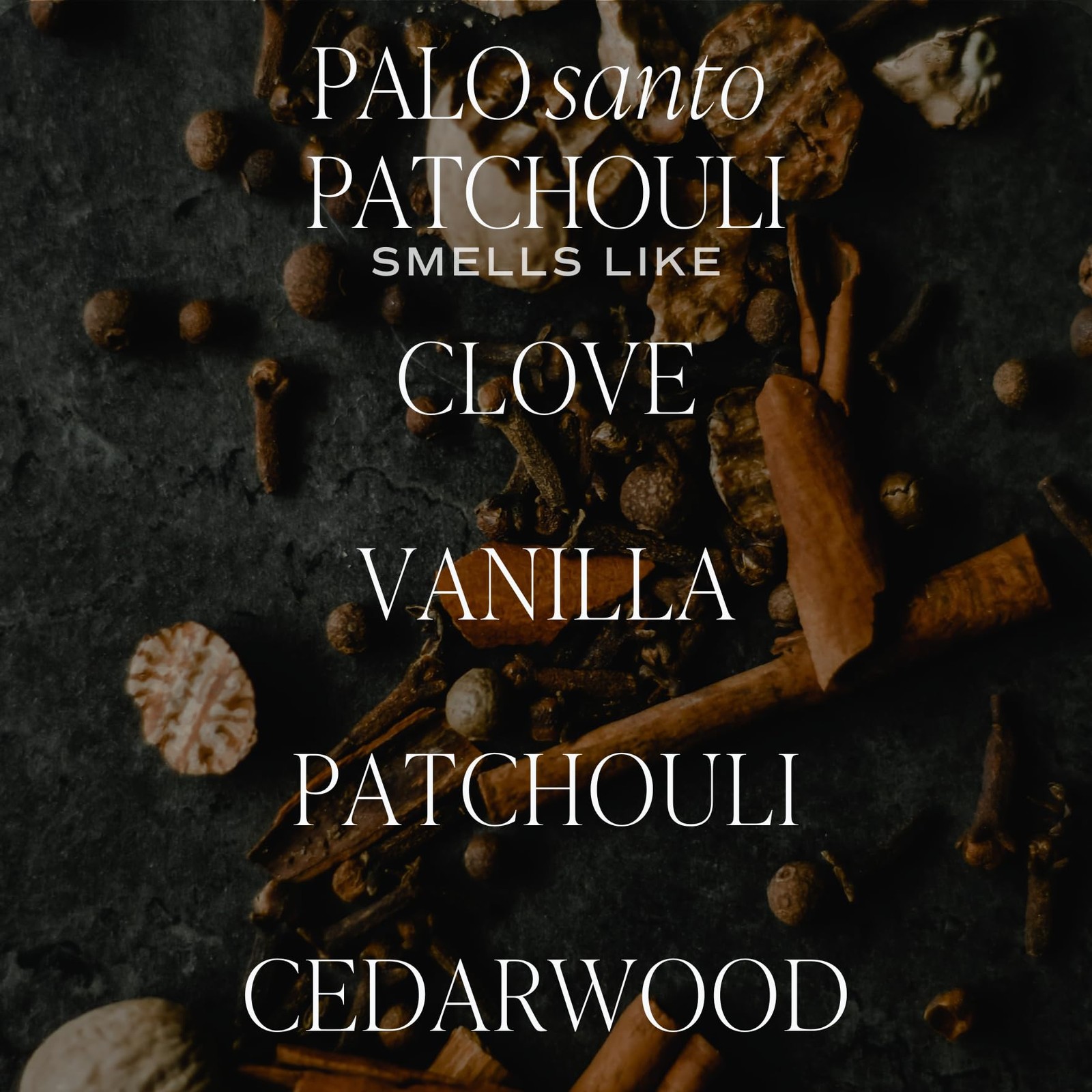 Sweet Water Decor Palo Santo Patchouli Candle – Soy Clove, Vanilla, Tan