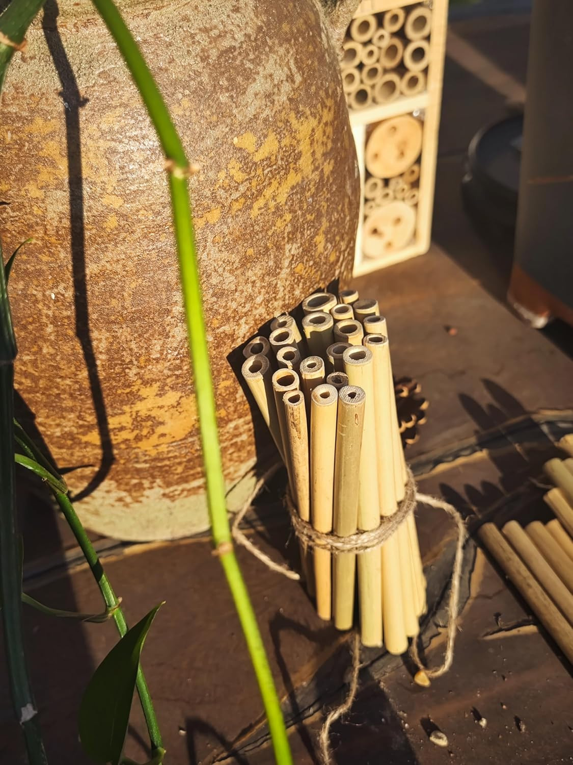 Bamboo Craft Tubes – 100 Count, 5″ Eco-Friendly Sticks for DIY Bee Hotels, So…