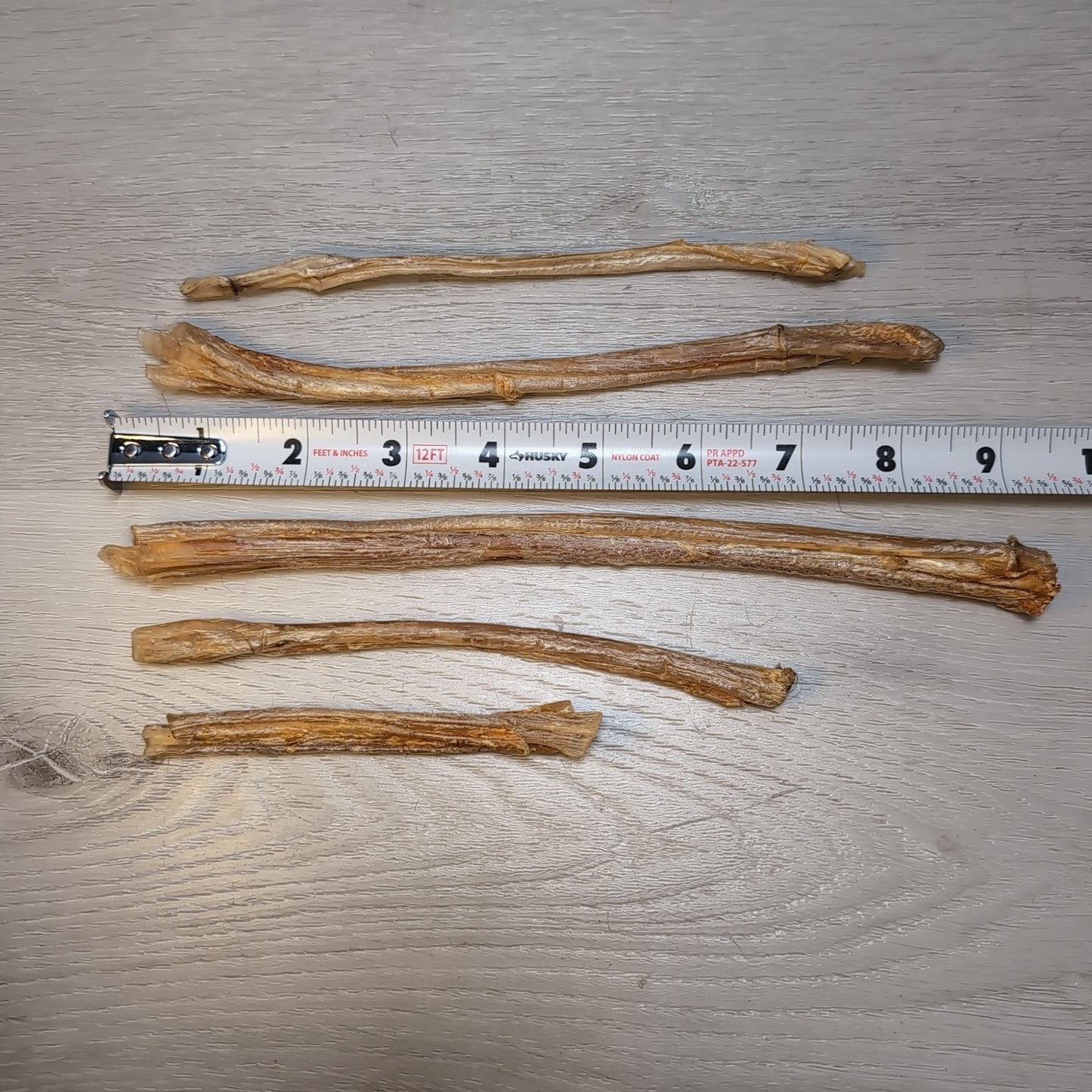 (Lot 15) Deer Leg Sinew Genuine Primitive Crafts Bow Arrow Native Authentic USA