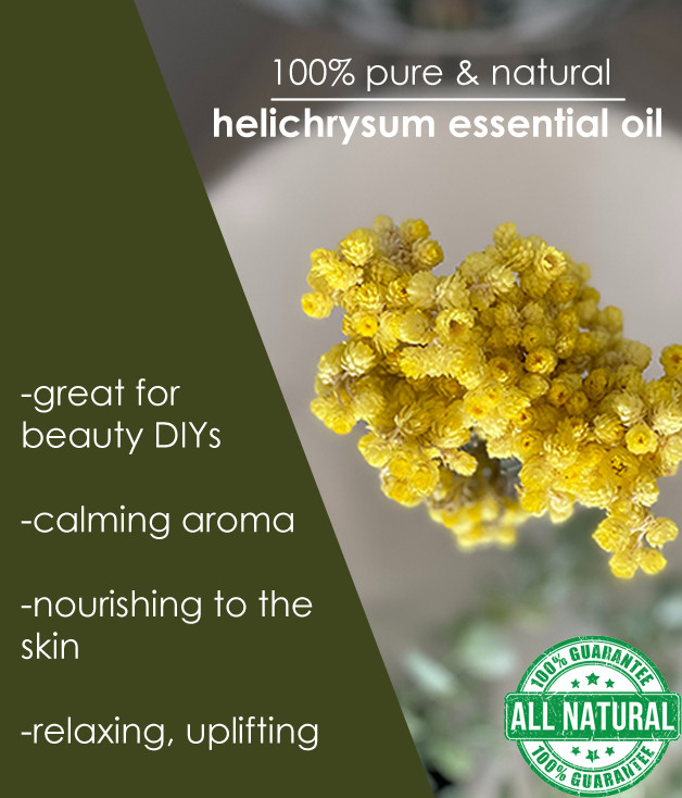 15 ml Helichrysum (French) Essential Oil (100% Pure & Natural) GC-MS Avail.