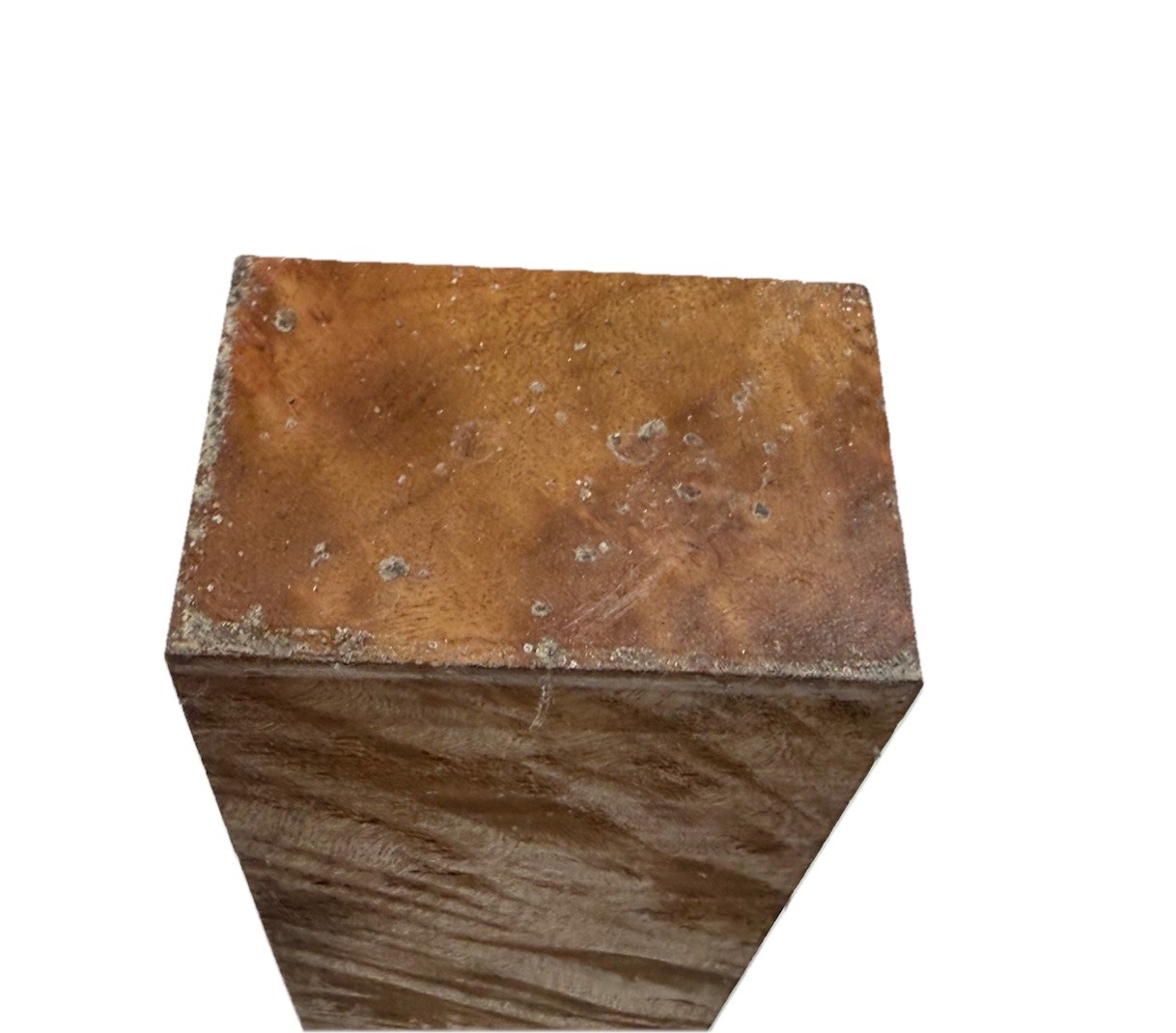 Camphor Burl wood block 11″ x 3-3/16” x 2-1/4″ (c71) Dried Craft Block