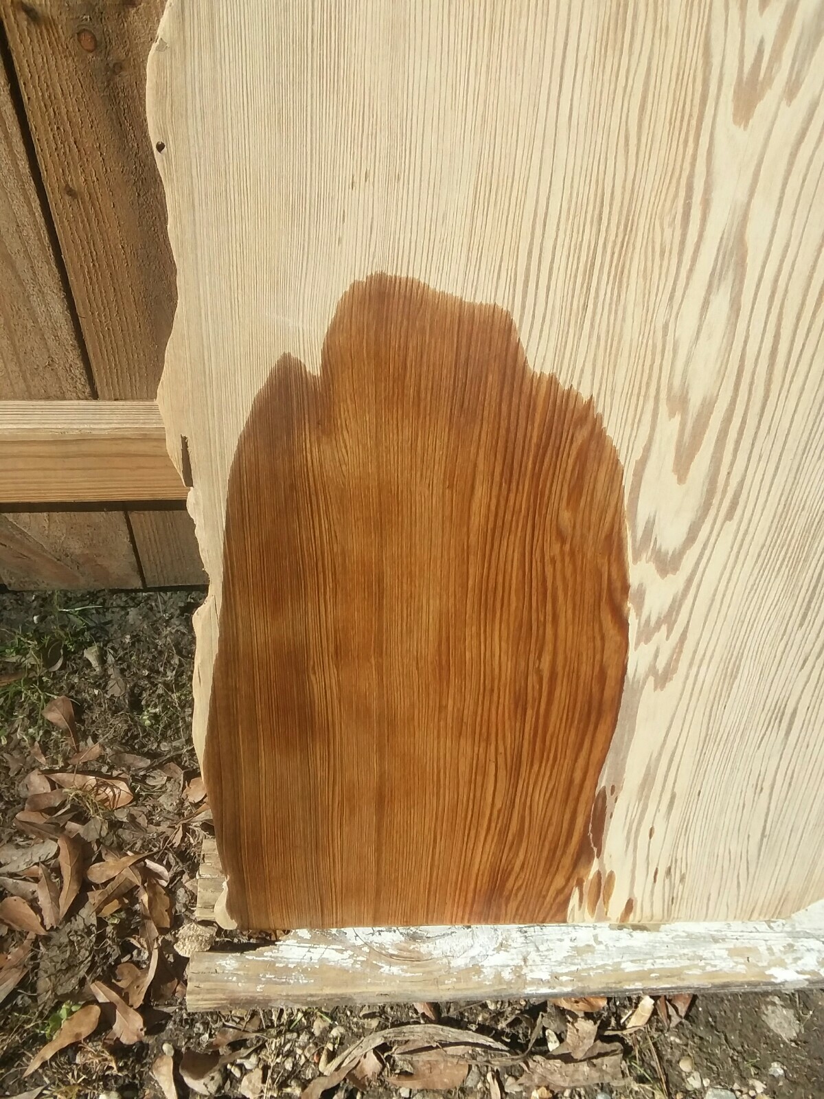 RETURNS ACCEPTED Carbon Dated Old Growth Sinker Cypress Slab Countertop TableTop