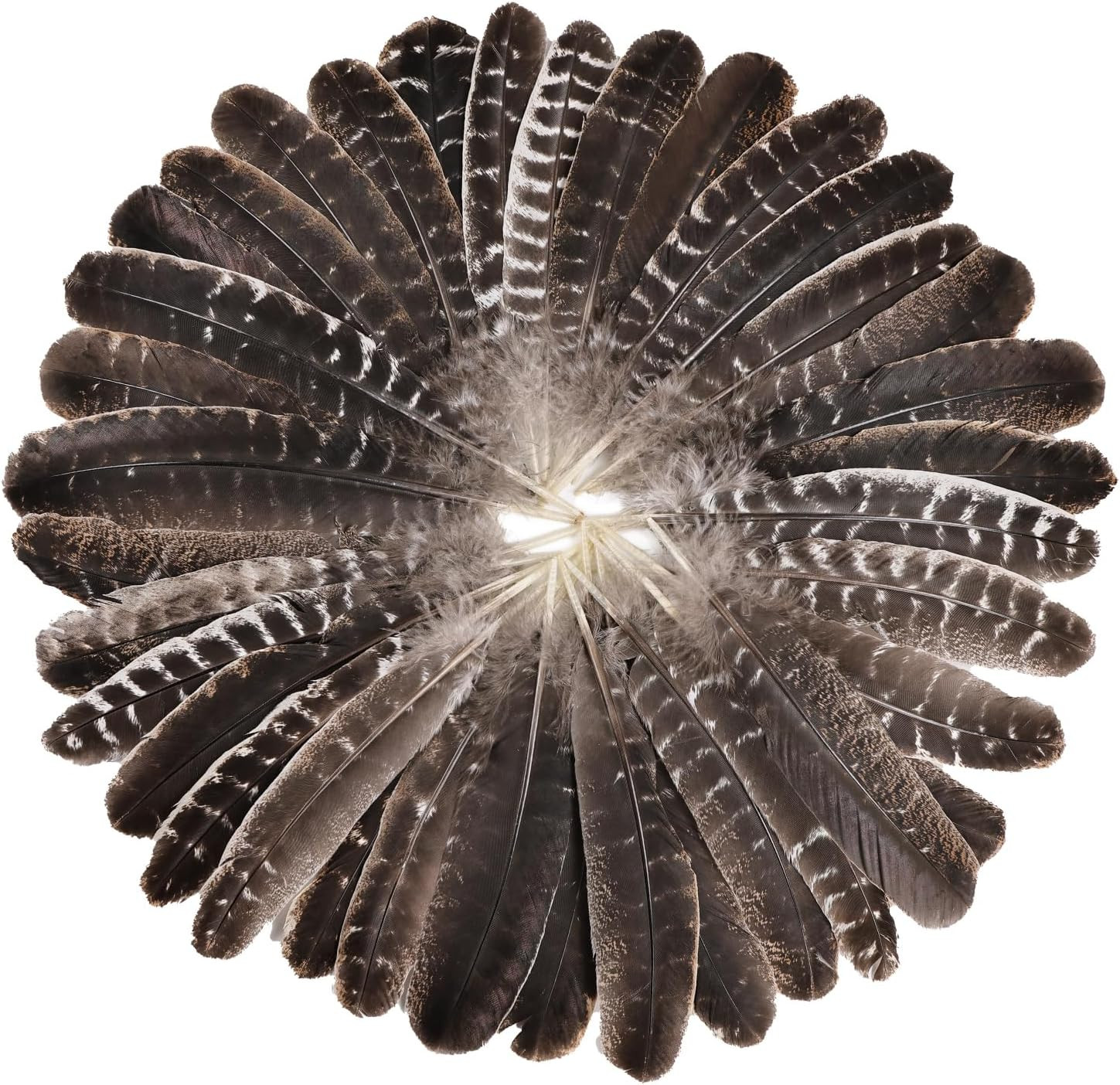Natural Turkey Feathers, 30pcs 8-11 inch (20-27cm) Bulk Feathers for DIY Jewelry