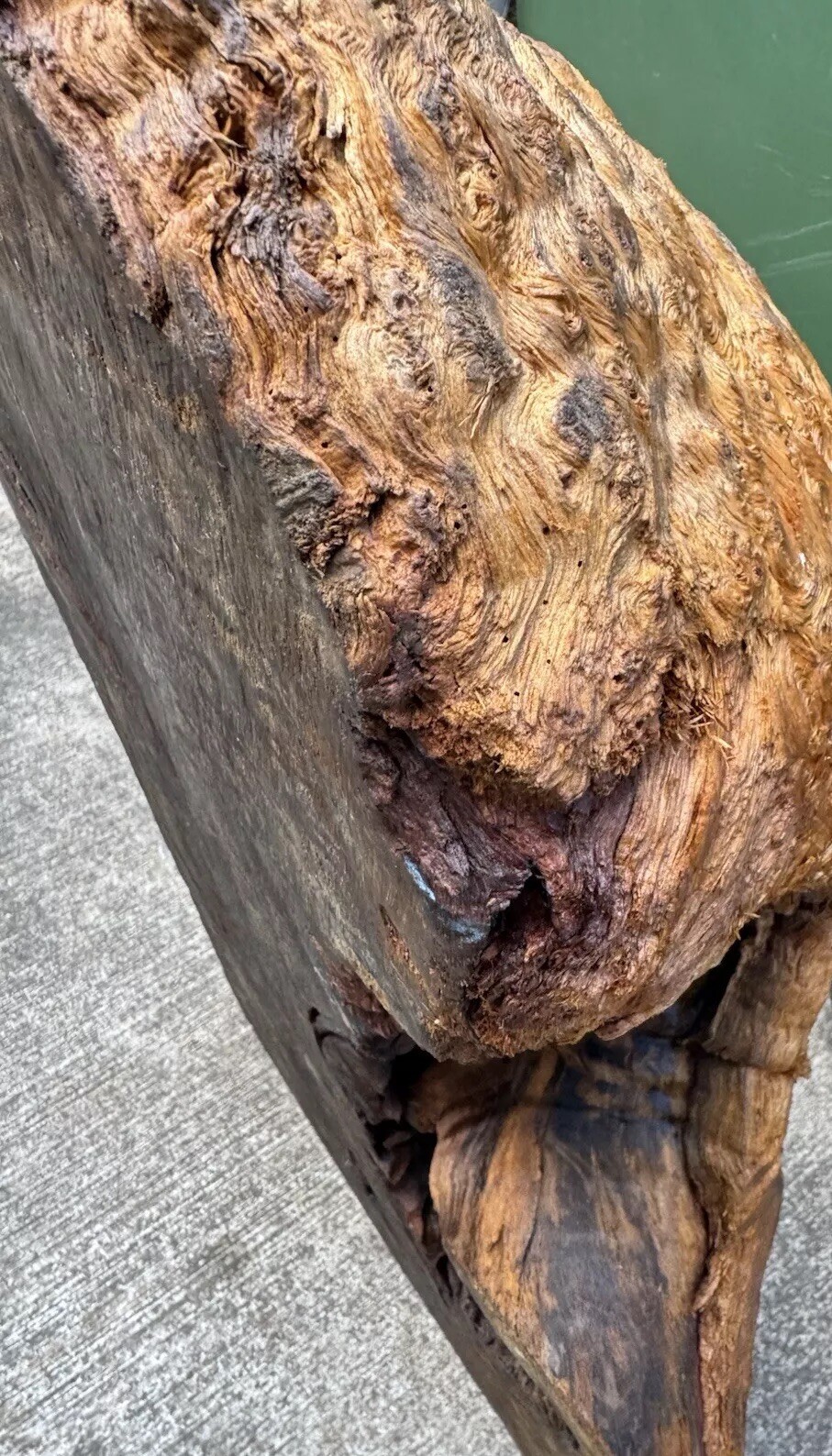 12106 Camphor burl wood turning blank ,hybrid Scale,Dried, 30”x 15”x 6”