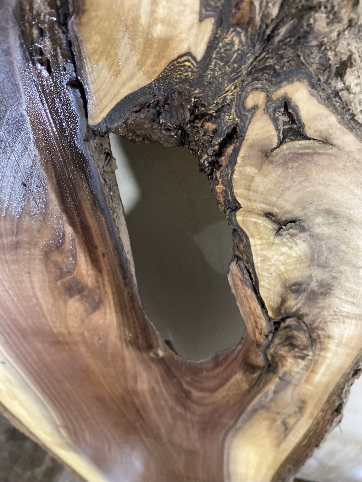 Live edge black walnut Wood slab kiln dried and planed 1”x10-13.5”x64”