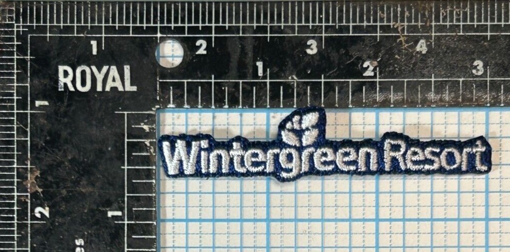 VINTAGE WINTERGREEN SKI RESORT VIRGINIA 3″ IRON ON PATCH BLUE