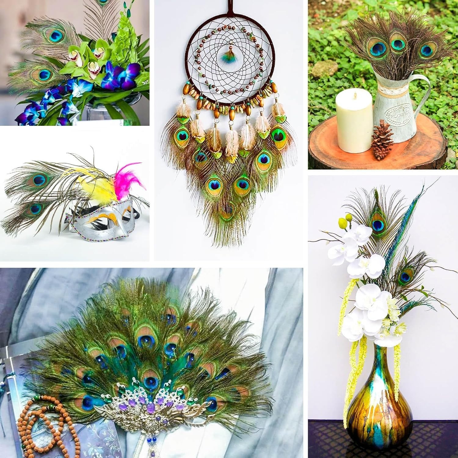 Bulk 200pc Peacock Feathers 10-12″ Cruelty-Free Natural Craft Decoration