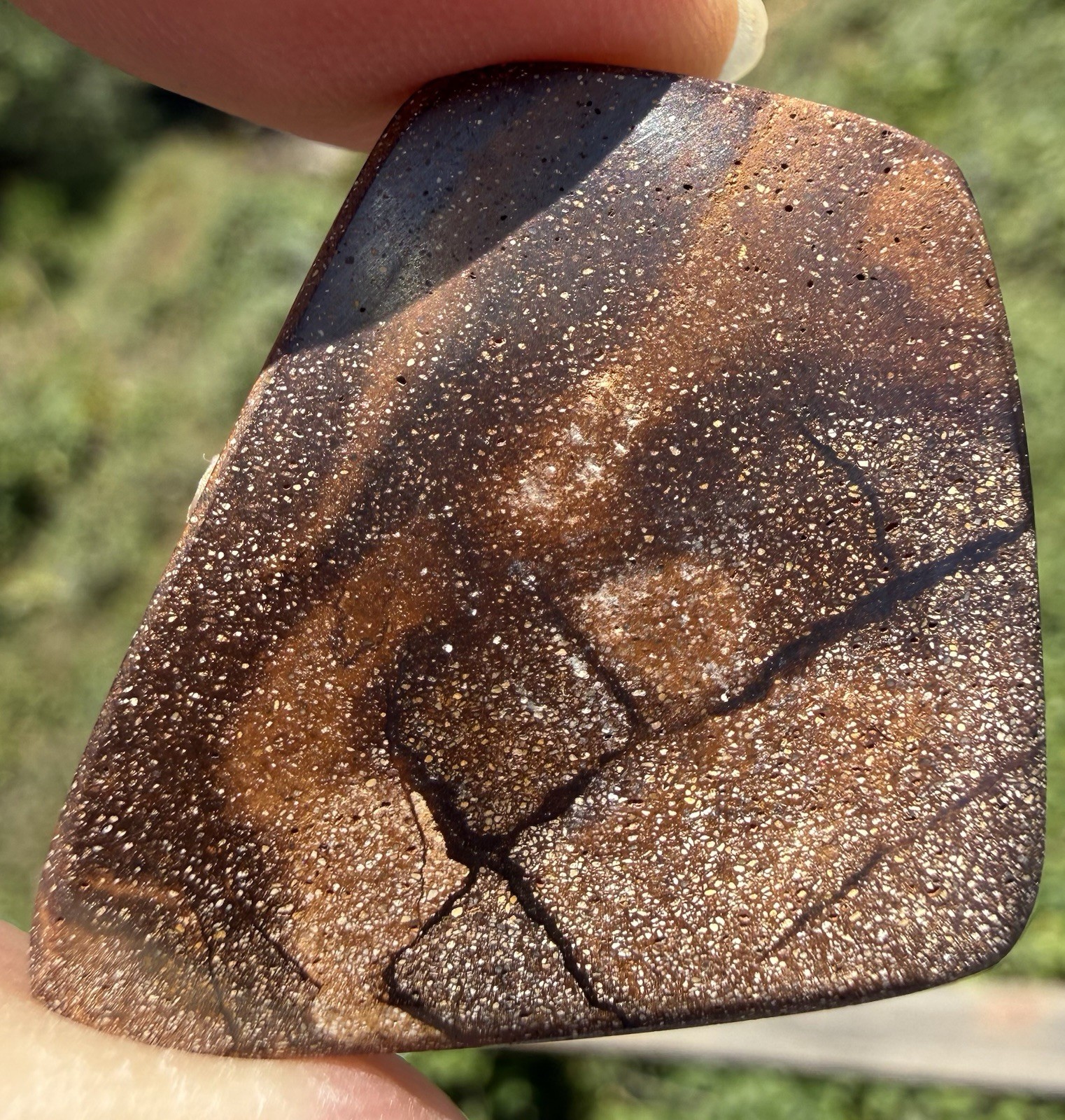 Australian Boulder Opal Cabochon. 1 3/8”x 1 5/16”x 1/8”, 0.3 oz. Polished front