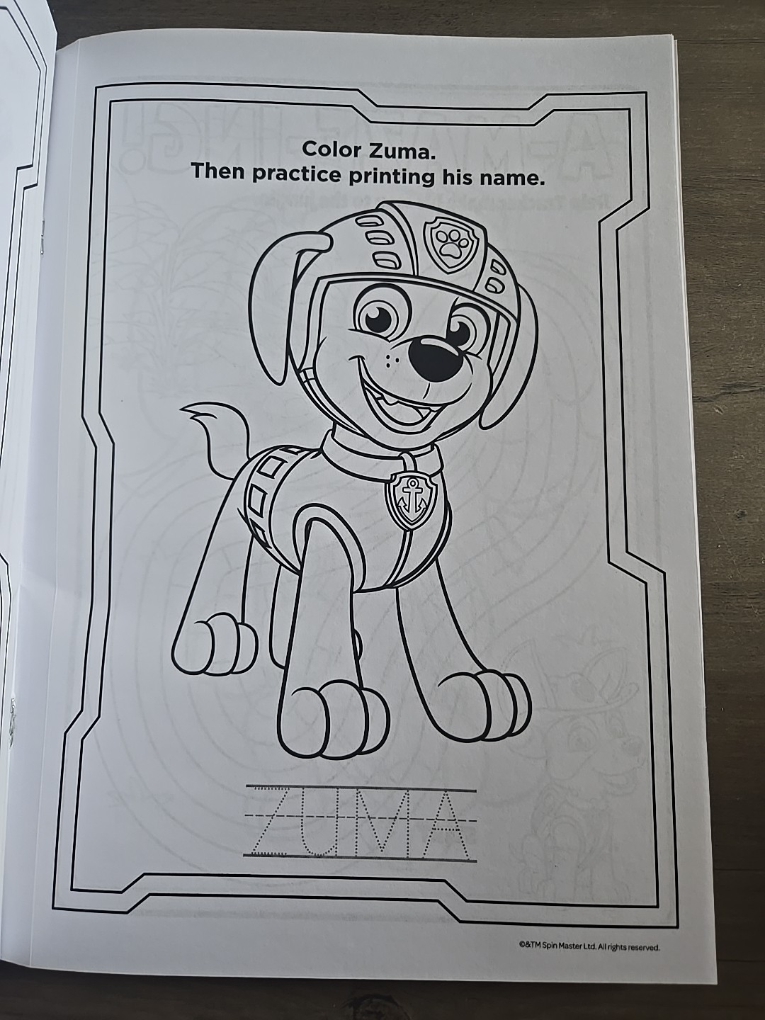 Paw Patrol coloring activity With Bonus Stencil-Brand New-SHIPS N 24 HOURS