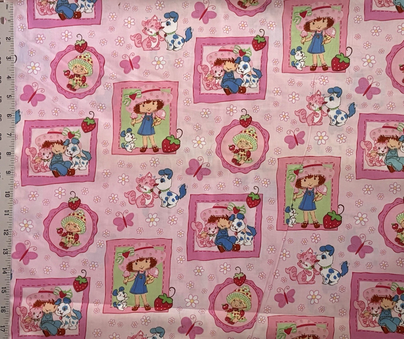 VINTAGE 2003 Strawberry Shortcake Portrait Cotton Fabric – BTFQ: 18″ x 22″