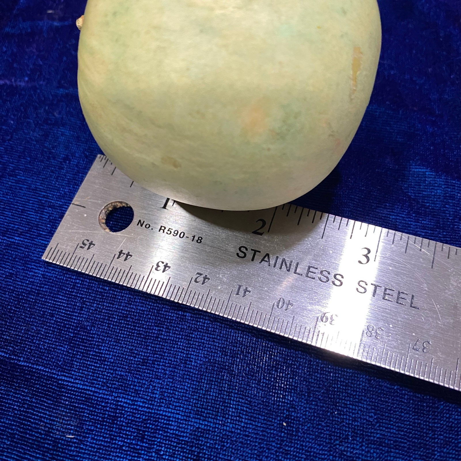 Lot of FIVE (5) Gourds Small Size Pear Shaped Round Dried Natural Color Clean