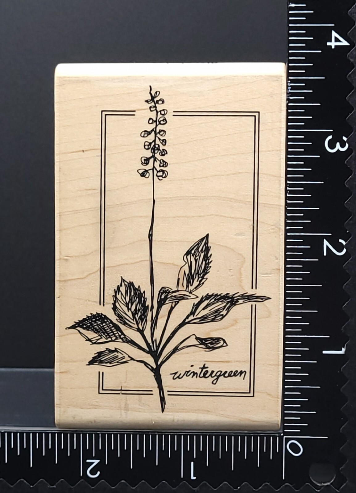 Stampington & CO MD Sketched Wintergreen Wood Mounted Rubber Stamp M4220