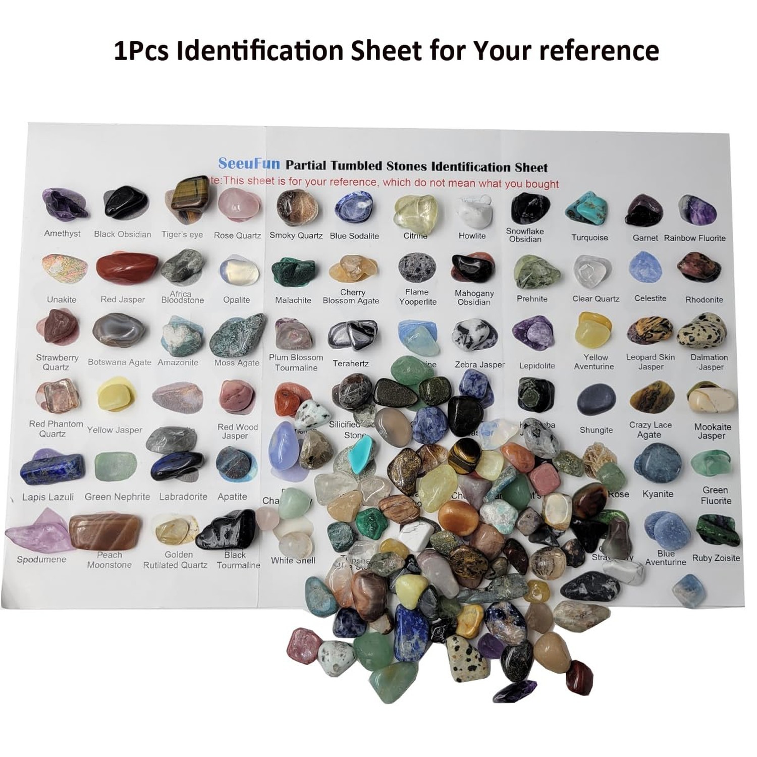 800Pcs+ (3lb) Gemstones and Crystals Set,30Kinds+ Bulk Rocks and Minerals Sci…