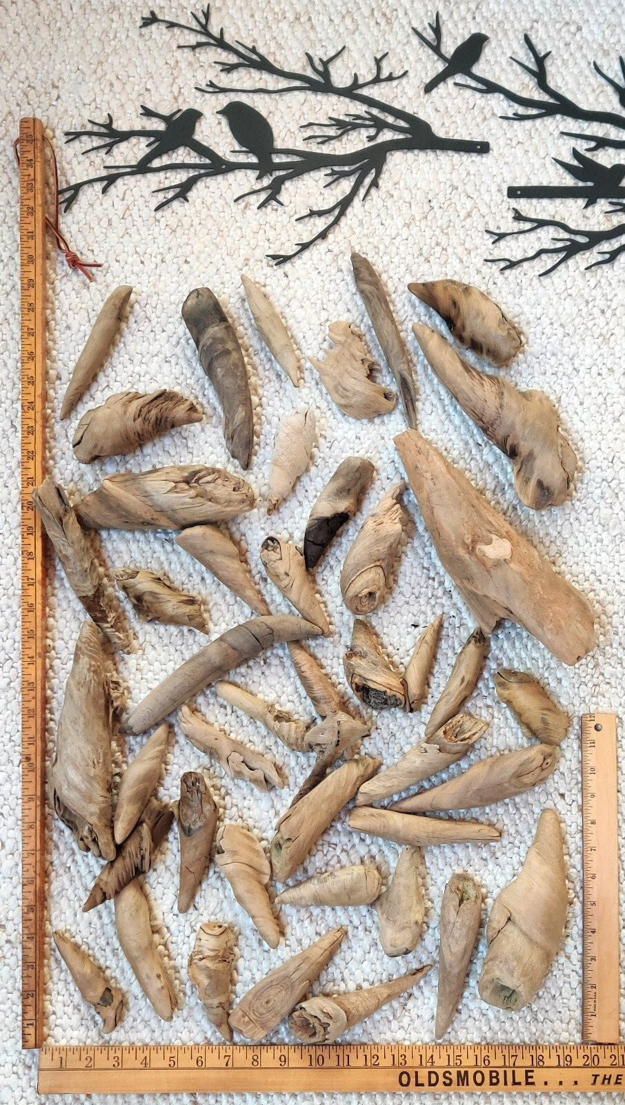 2 lbs. (14+ pcs.) of Beautiful, Unique, Natural Driftwood Gleaned from Lake MI