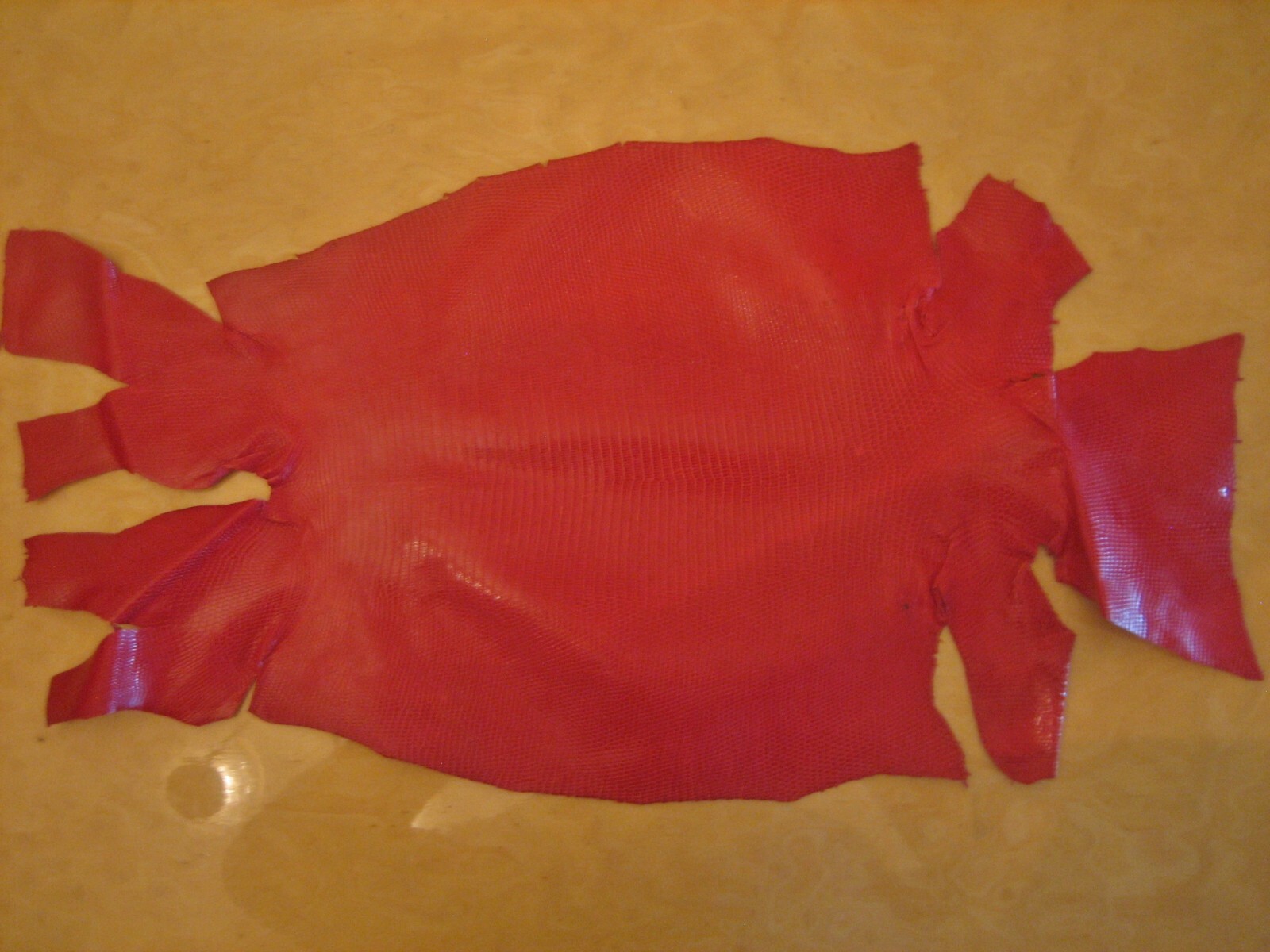 Genuine Lizard Belly Skins grade A, hide Pelt Glossy 7 colors, variety of sizes