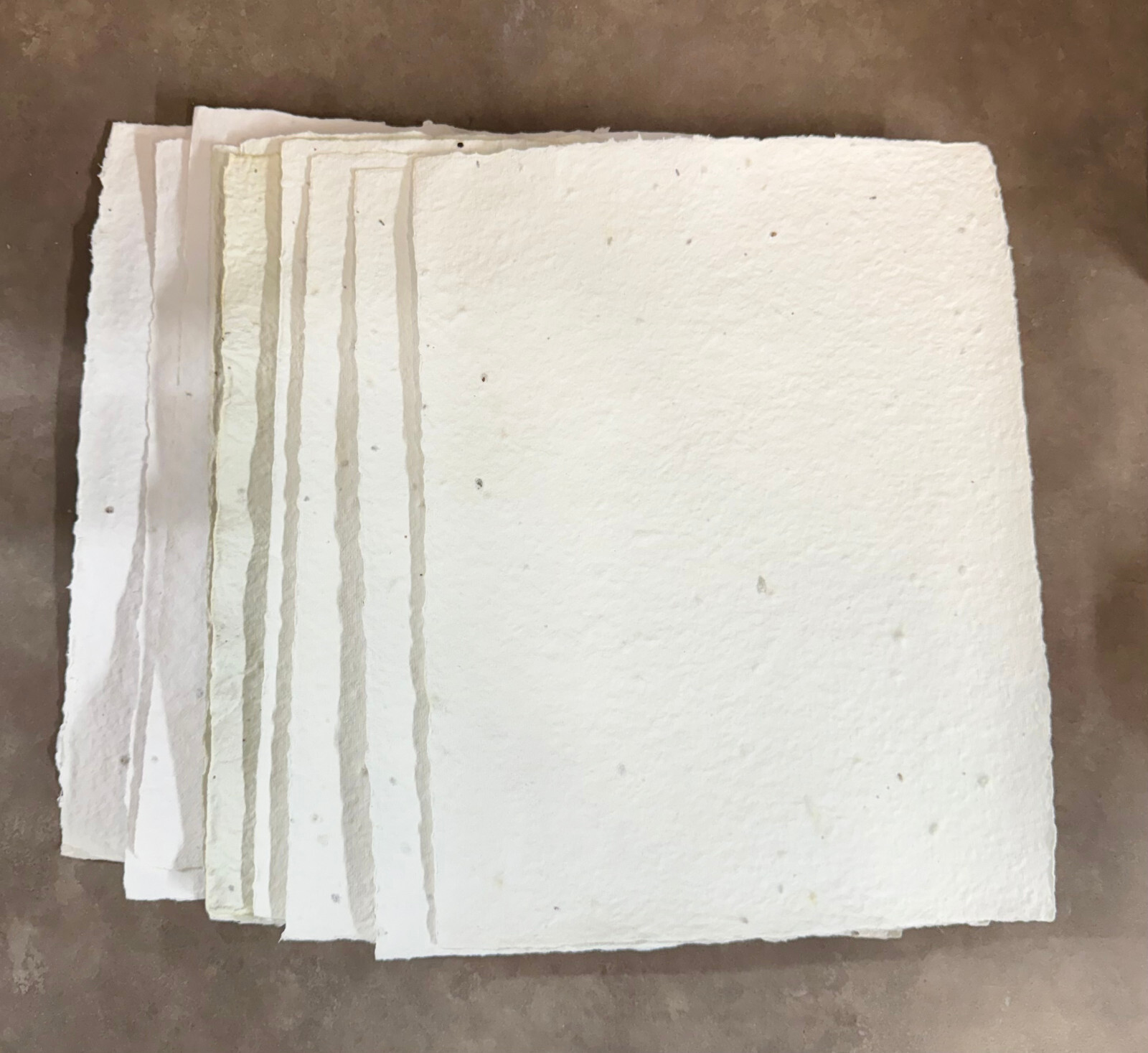 Bloomin Economy (Printable) Seed Paper 10 sheets