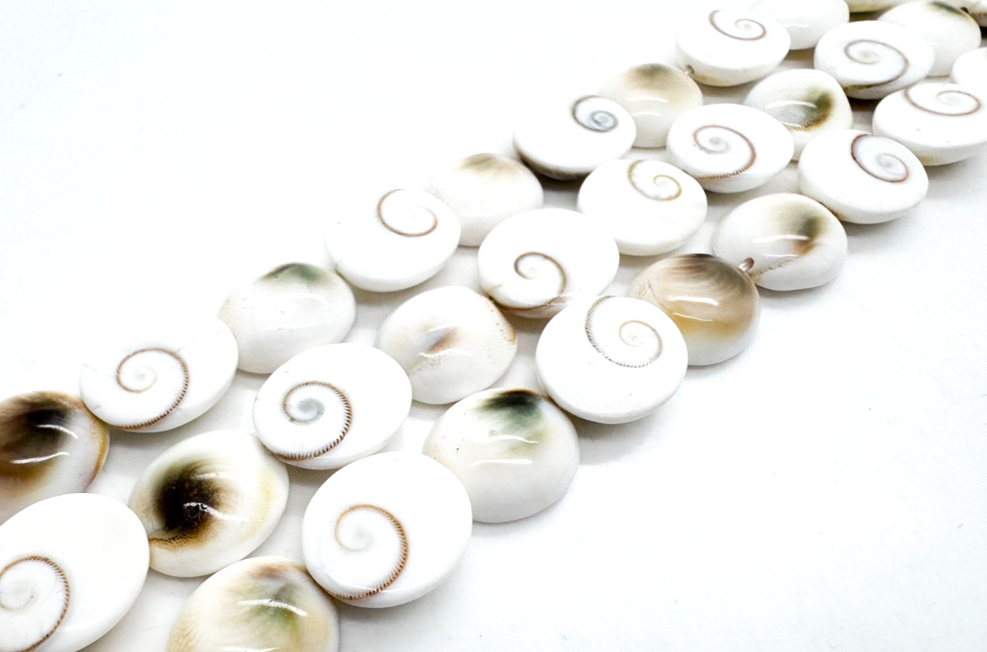 Genuine Natural White Shiva Eye Pacific Cat’s Eye Spiral Shell Oval Beads PG292