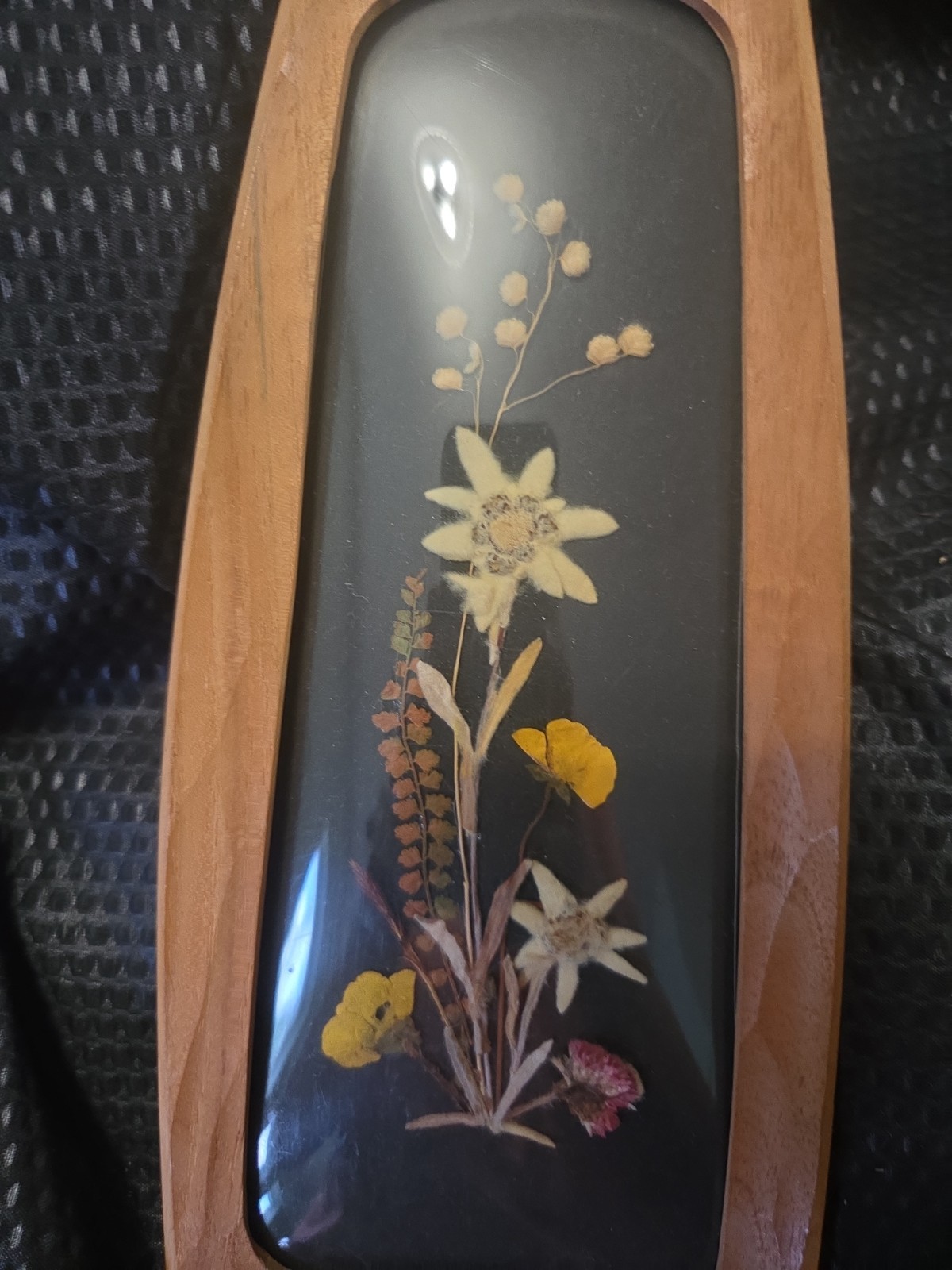 Vintage Floralp Tyrol Austria Pressed Edelweiss Flowers MCM Wood Frame Wall…