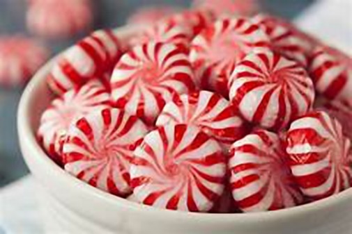4 oz Candle Scent Oil-PEPPERMINT