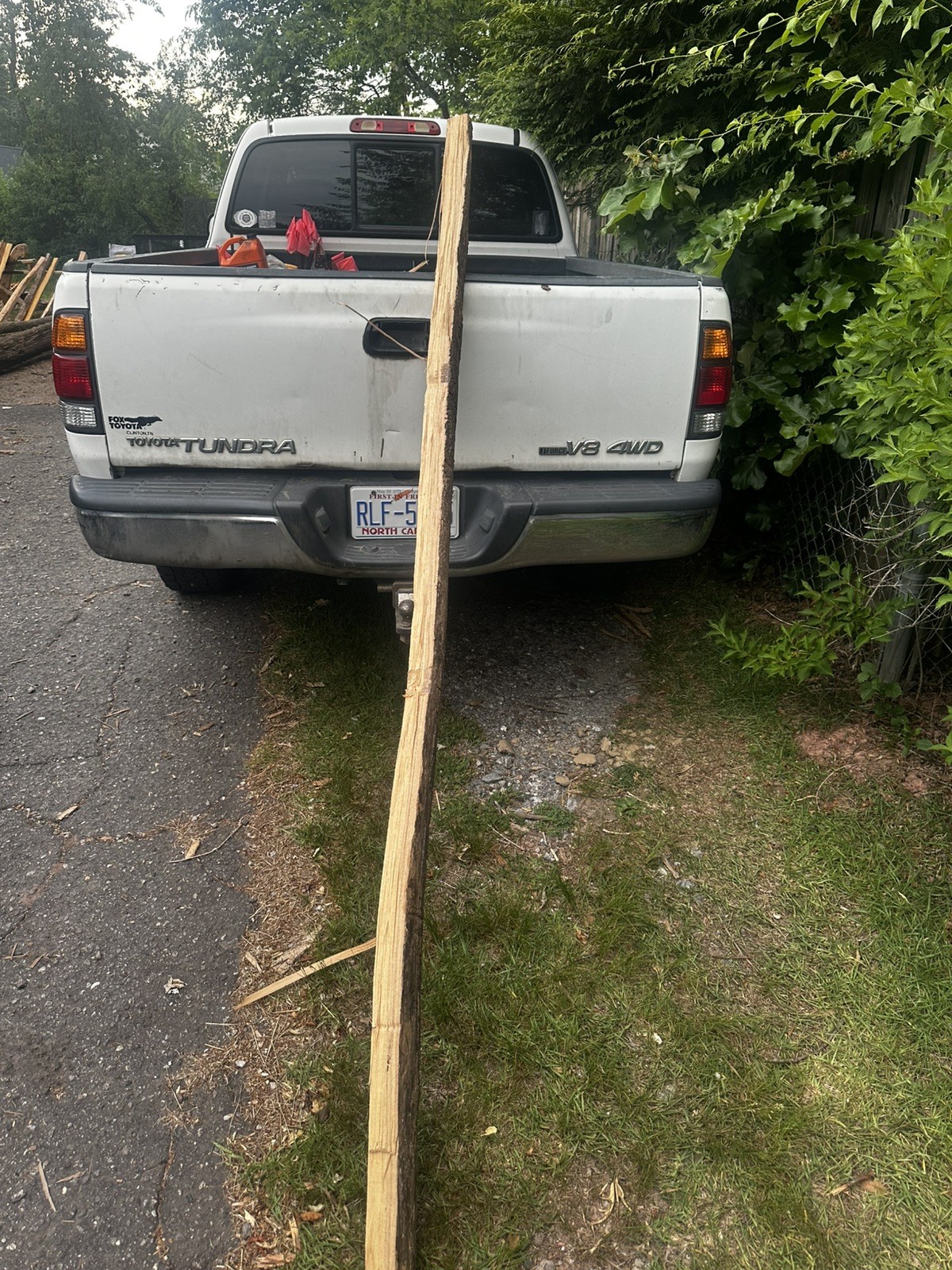 Premium Grade, Aged And Cured Black Locust Bow Staves
