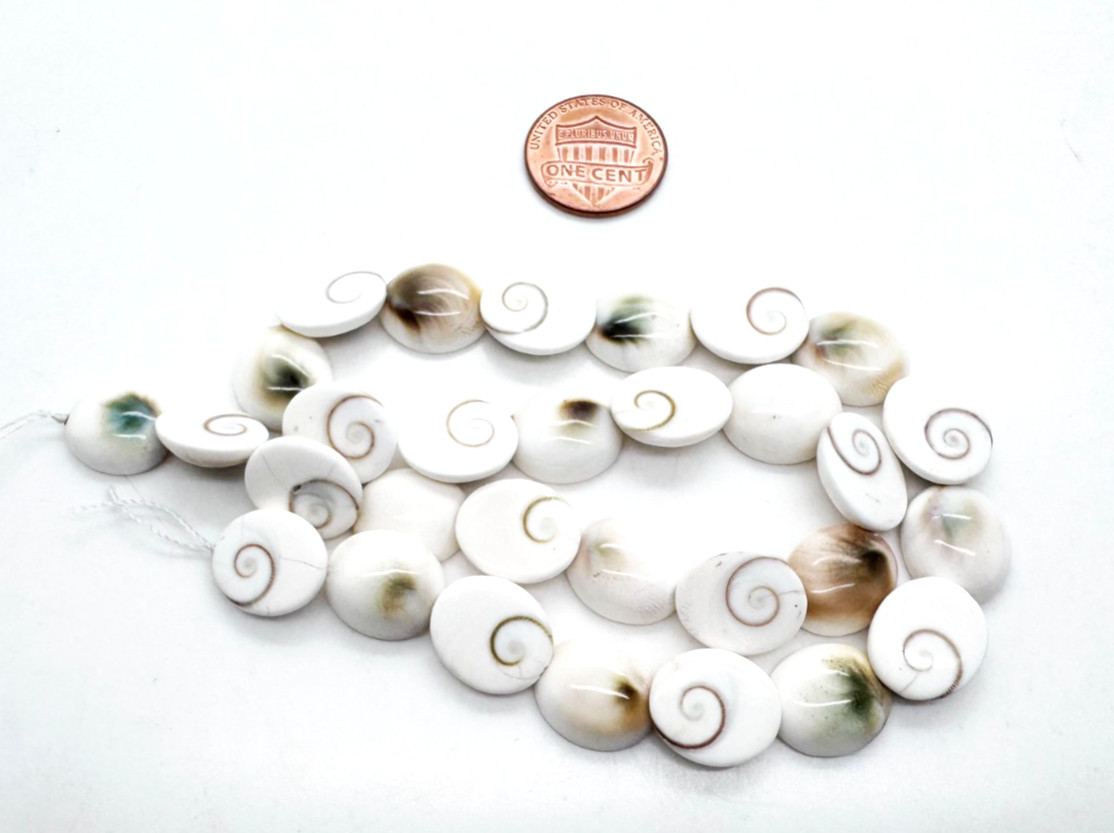 Genuine Natural White Shiva Eye Pacific Cat’s Eye Spiral Shell Oval Beads PG292