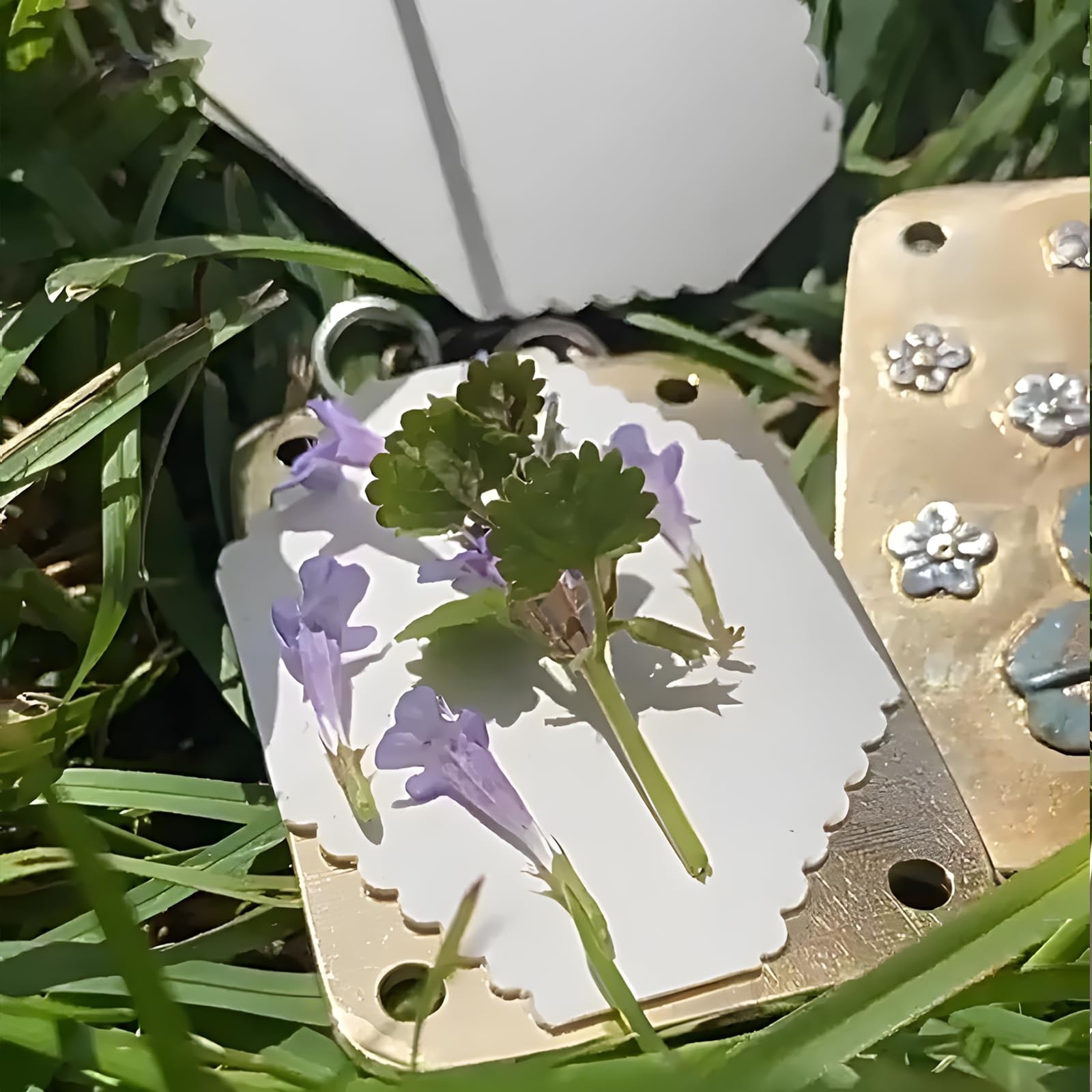 NIXNEHC Micro Mini Flower Press Kit, Miniature Flowers Pressing, Small Pocket…