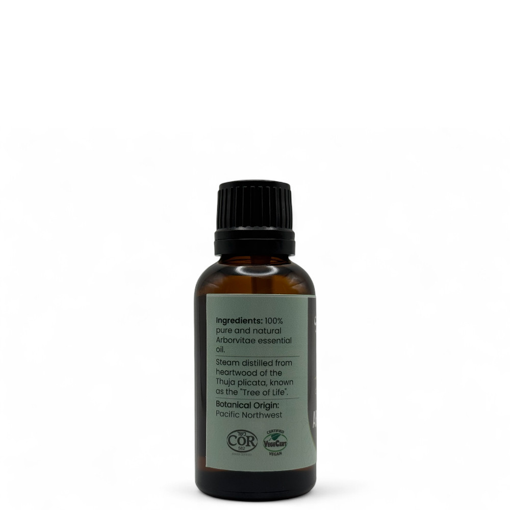 Arborvitae Essential Oil