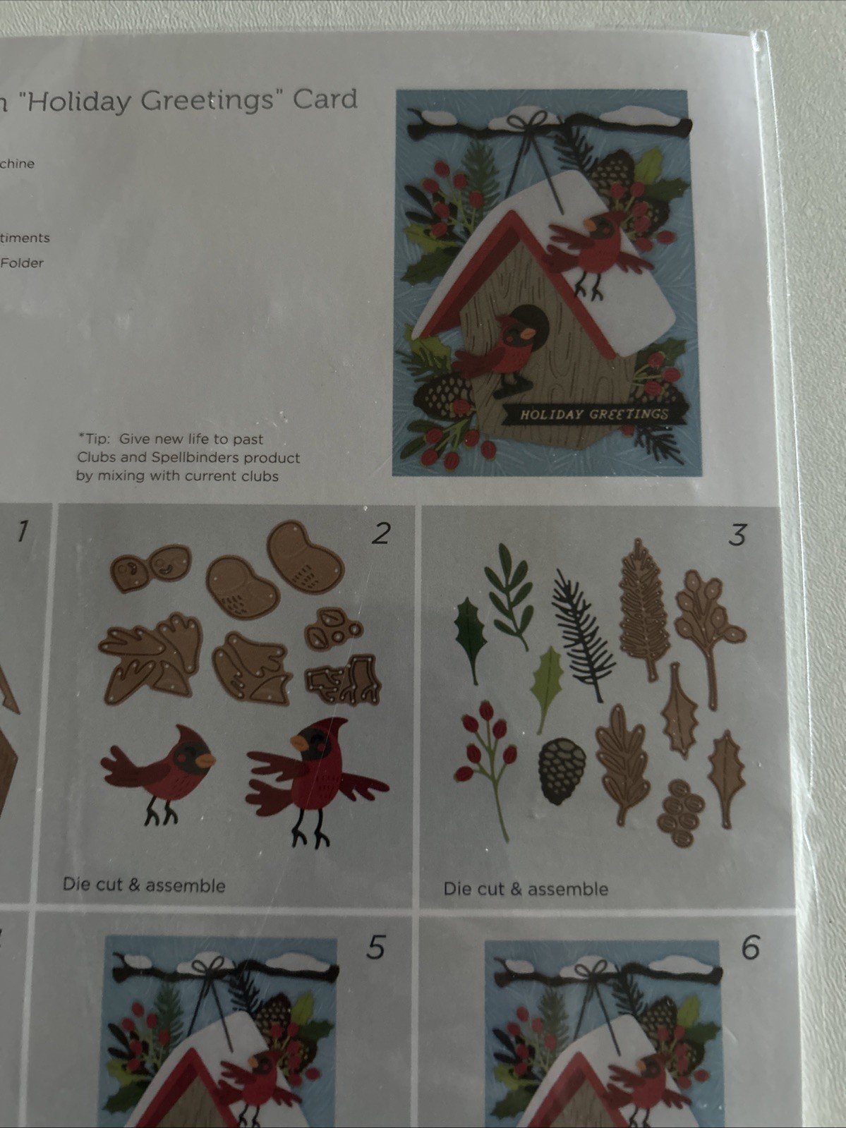 NEW Spellbinders Large Die Of The Month July 2024 SNOWCAPPED HOLIDAYS Christmas