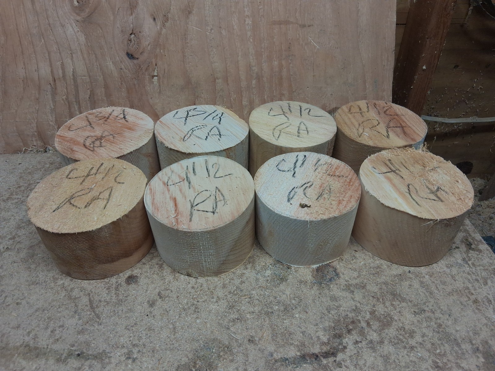 Spalted Red Alder Wood Turning Bowl Blanks 8pc