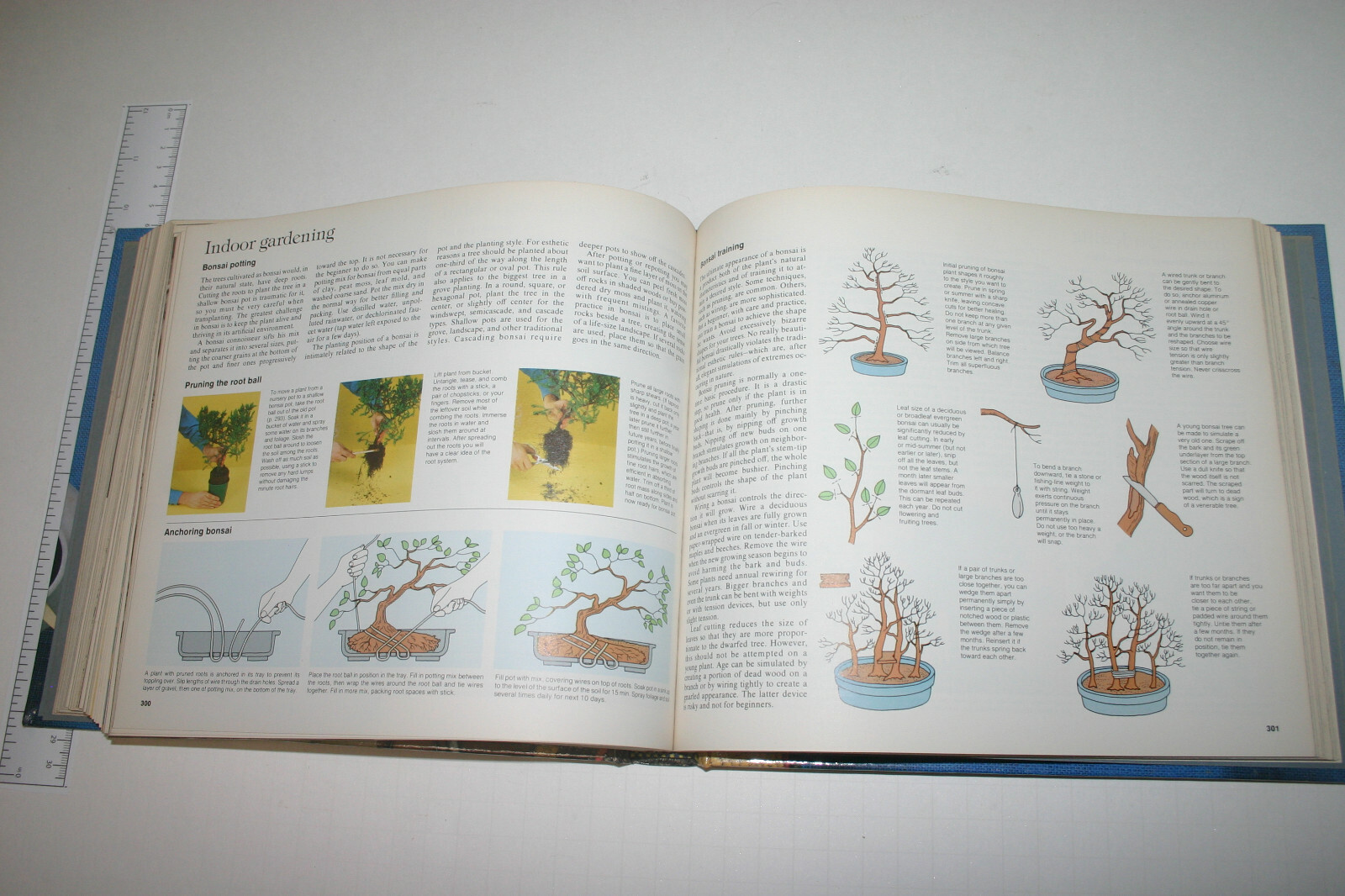 Reader’s Digest Crafts & Hobbies: A Step-by-Step Guide to Creative Skills Book
